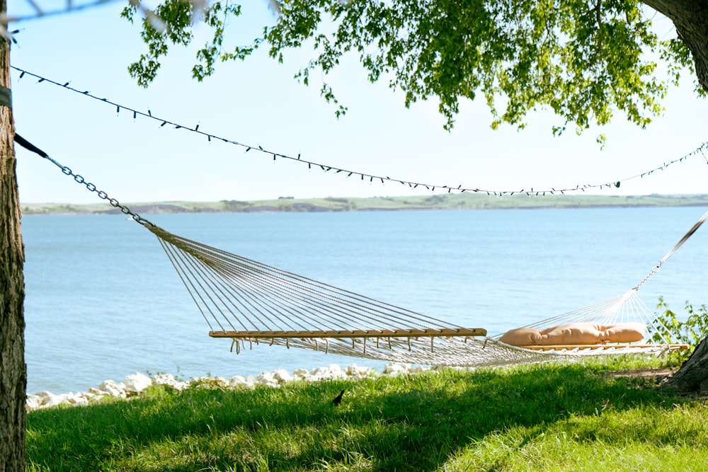 a hammock from a tree over a body of water