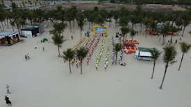Aerial view of a beach area with a large group of people standing in organized rows, wearing brightly colored outfits. Palm trees are scattered throughout the sand, and small structures or tents are present nearby. A stage or platform is in the background, and the setting appears to be a coordinated event or gathering.