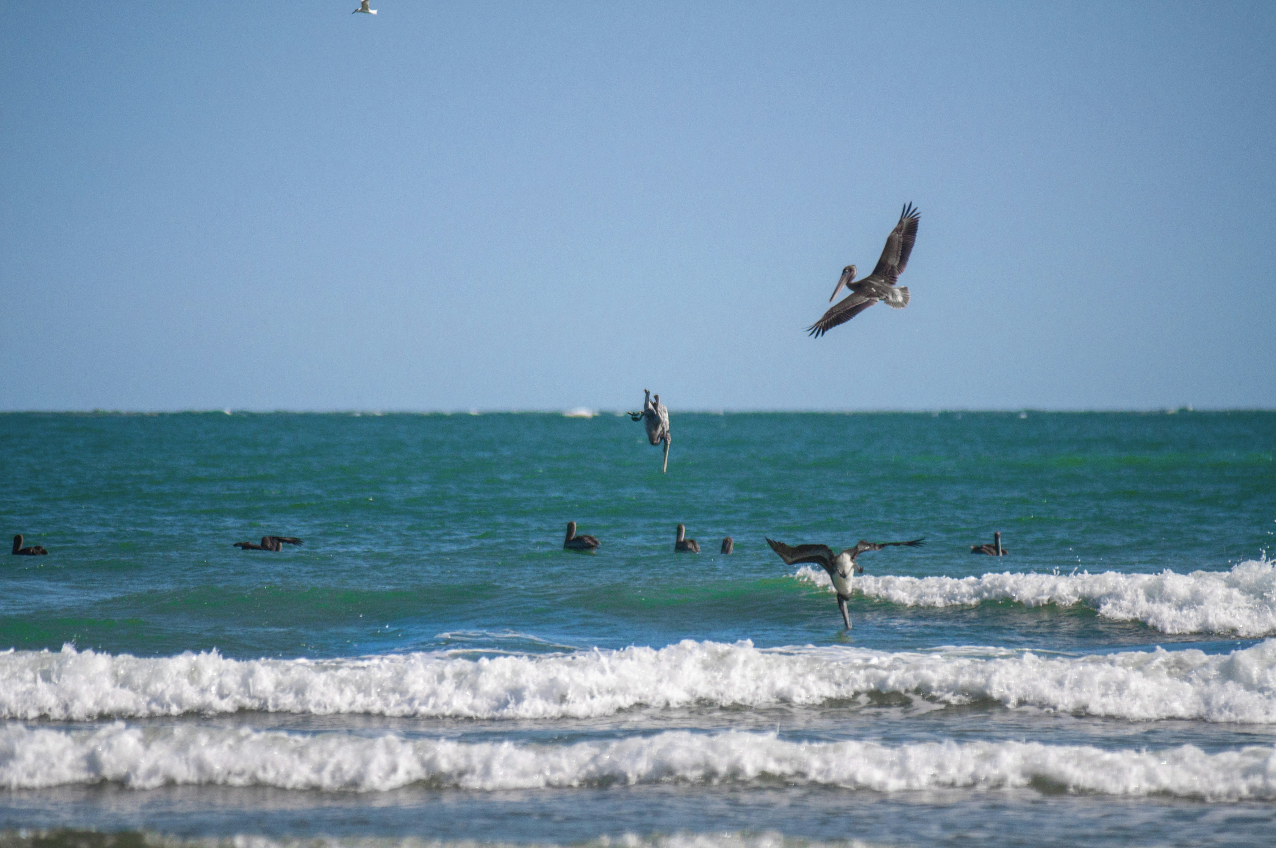 Photo by halfastmike