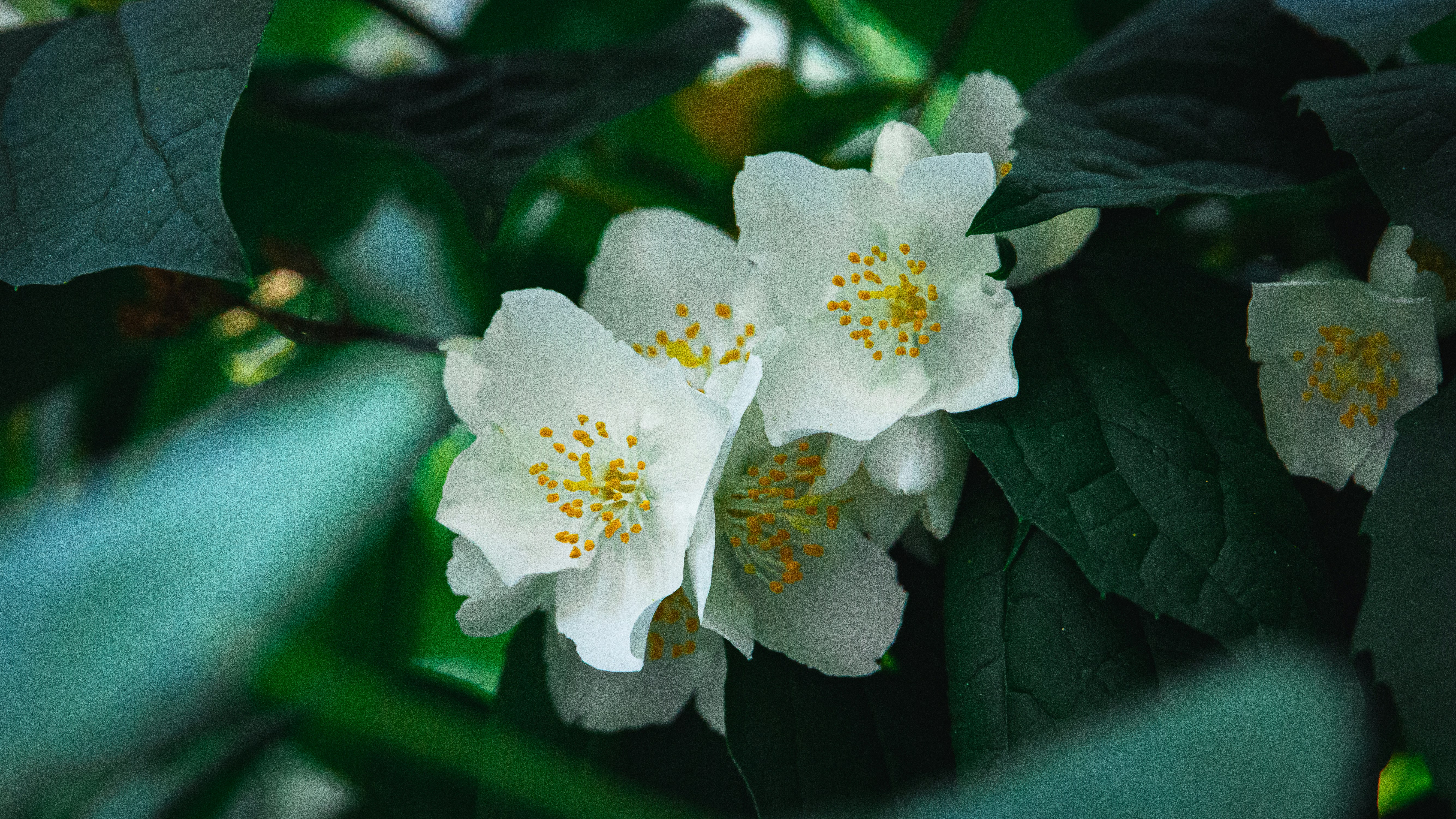 Photo by hanyangzhang