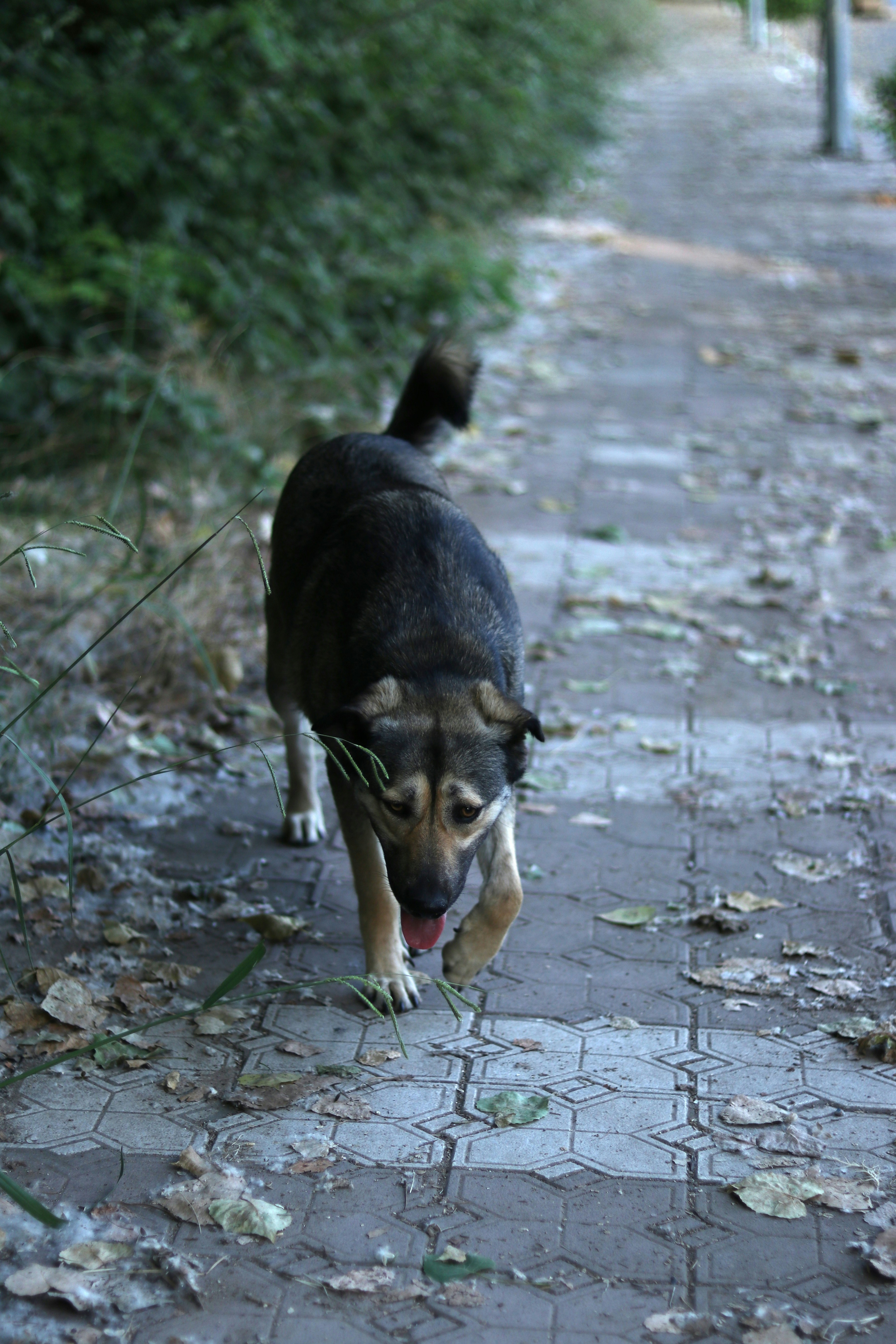 Photo by mosayyebnezhad