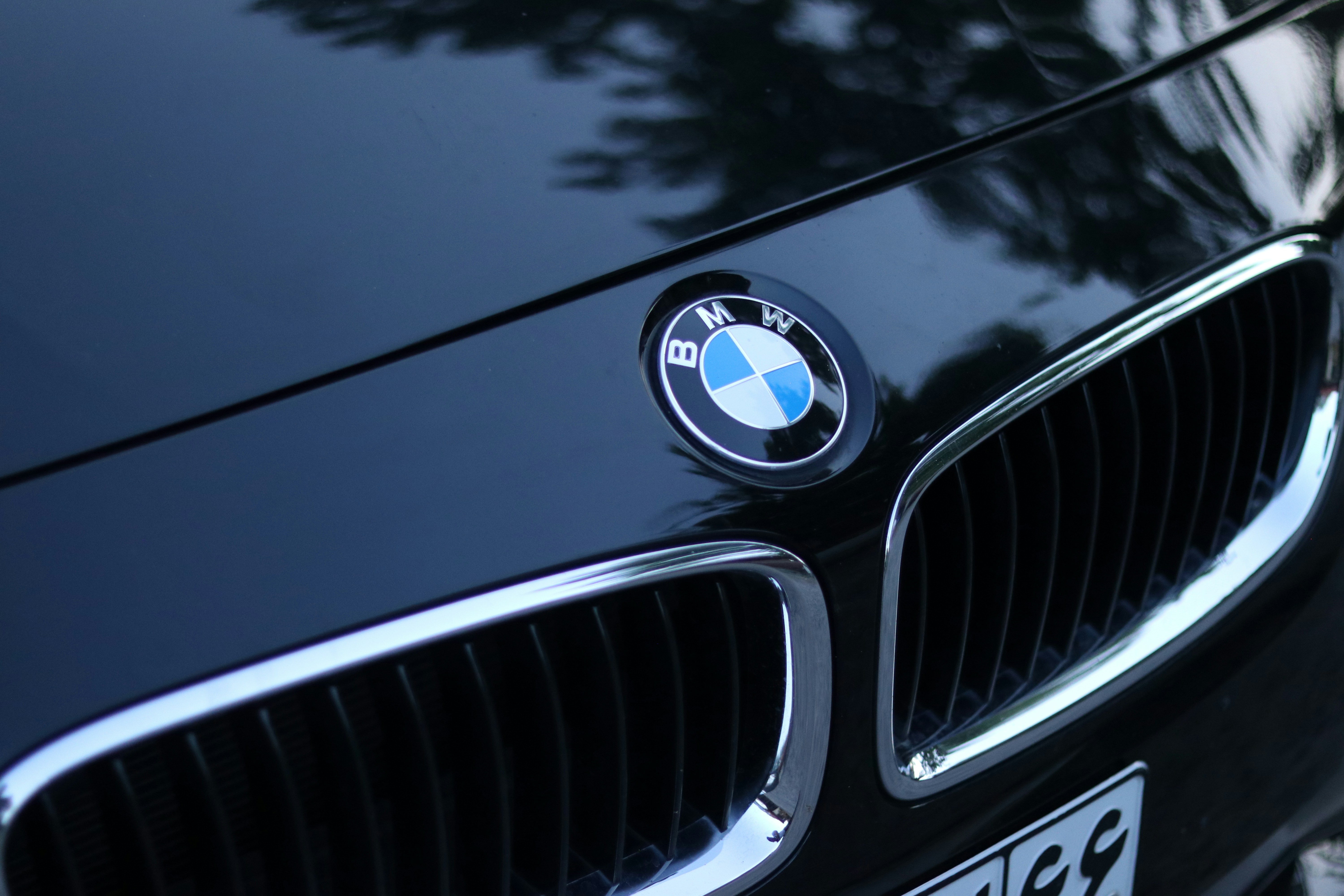 Photo by mosayyebnezhad