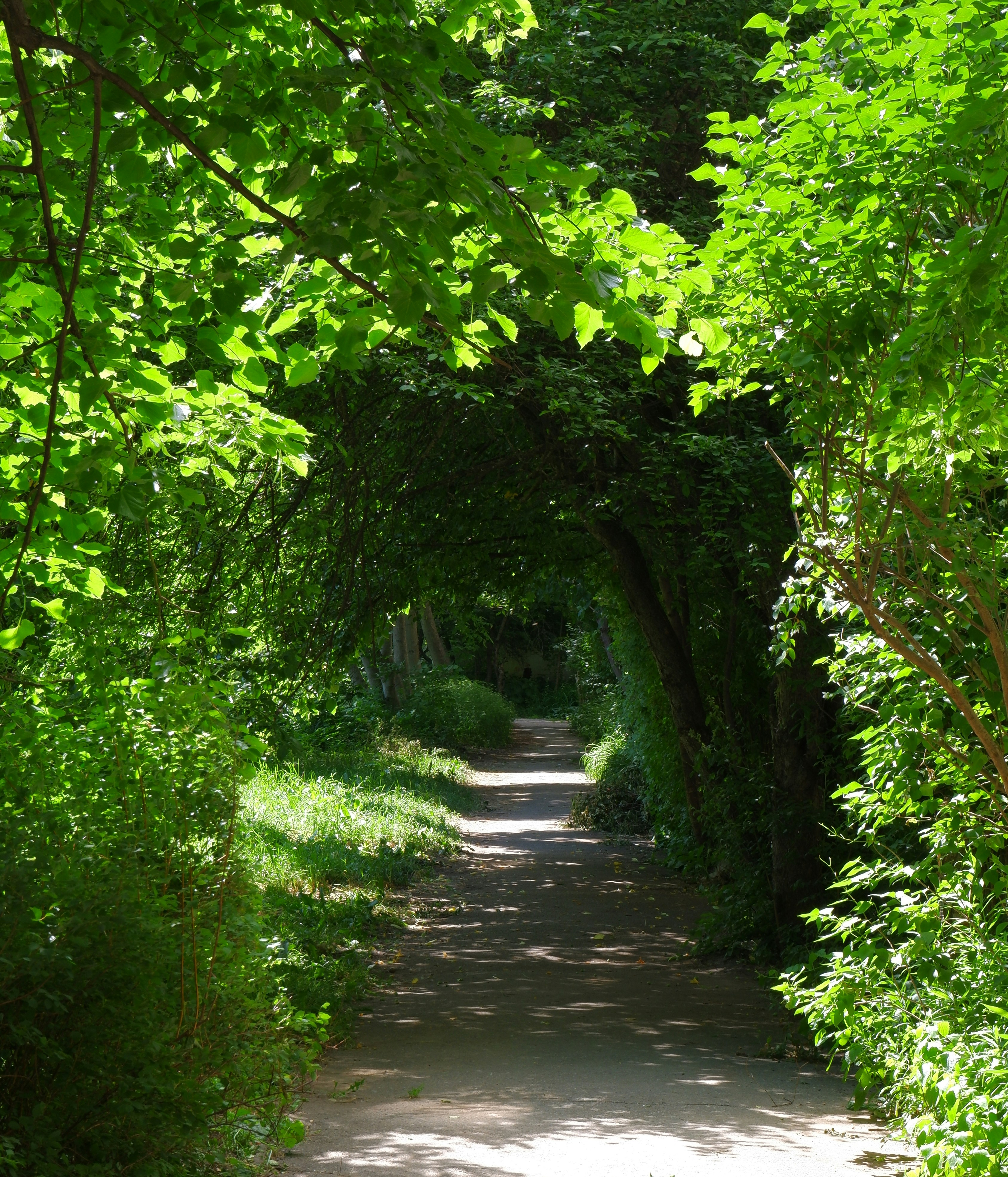 Book Your Appointment