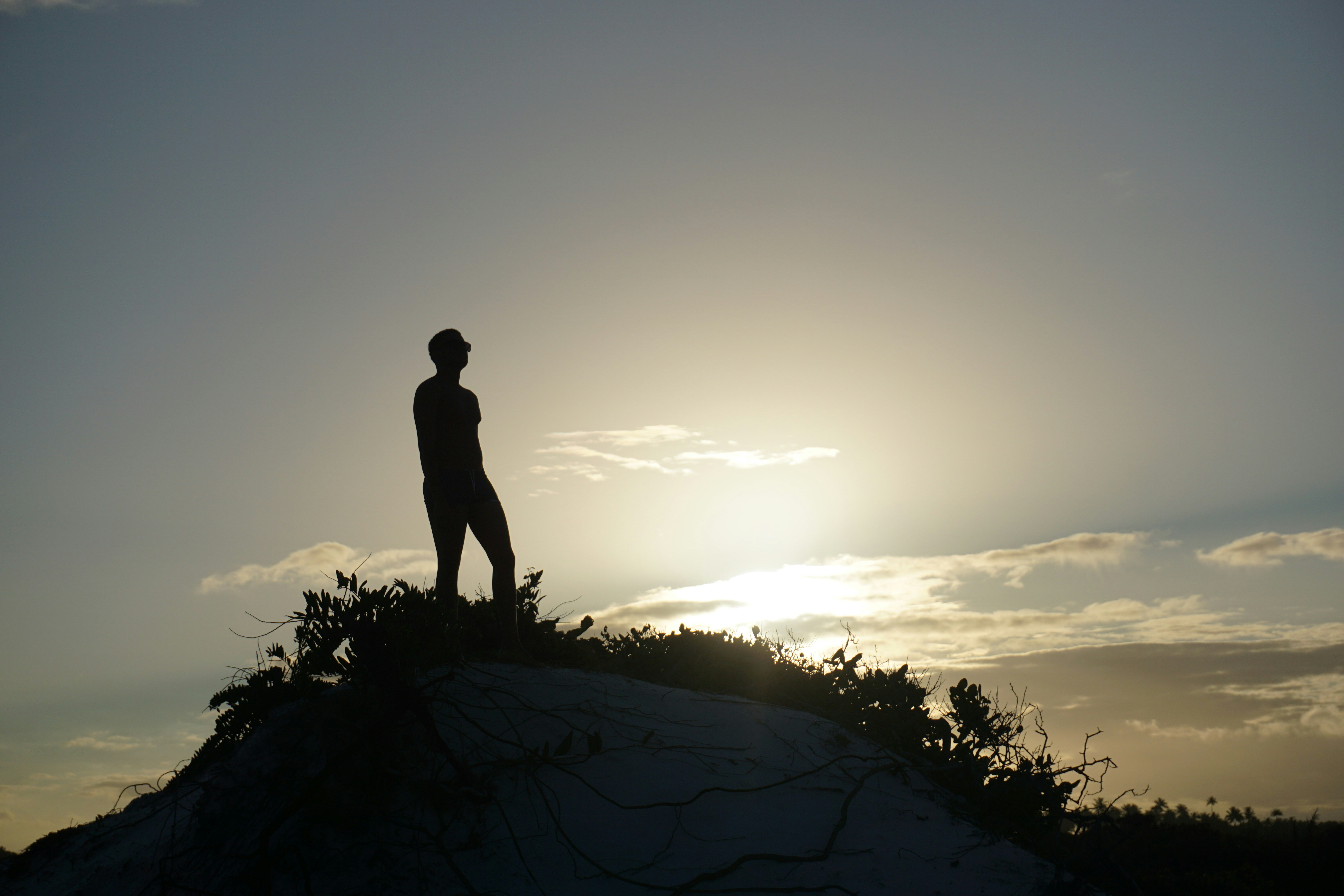 Boy in top the world
