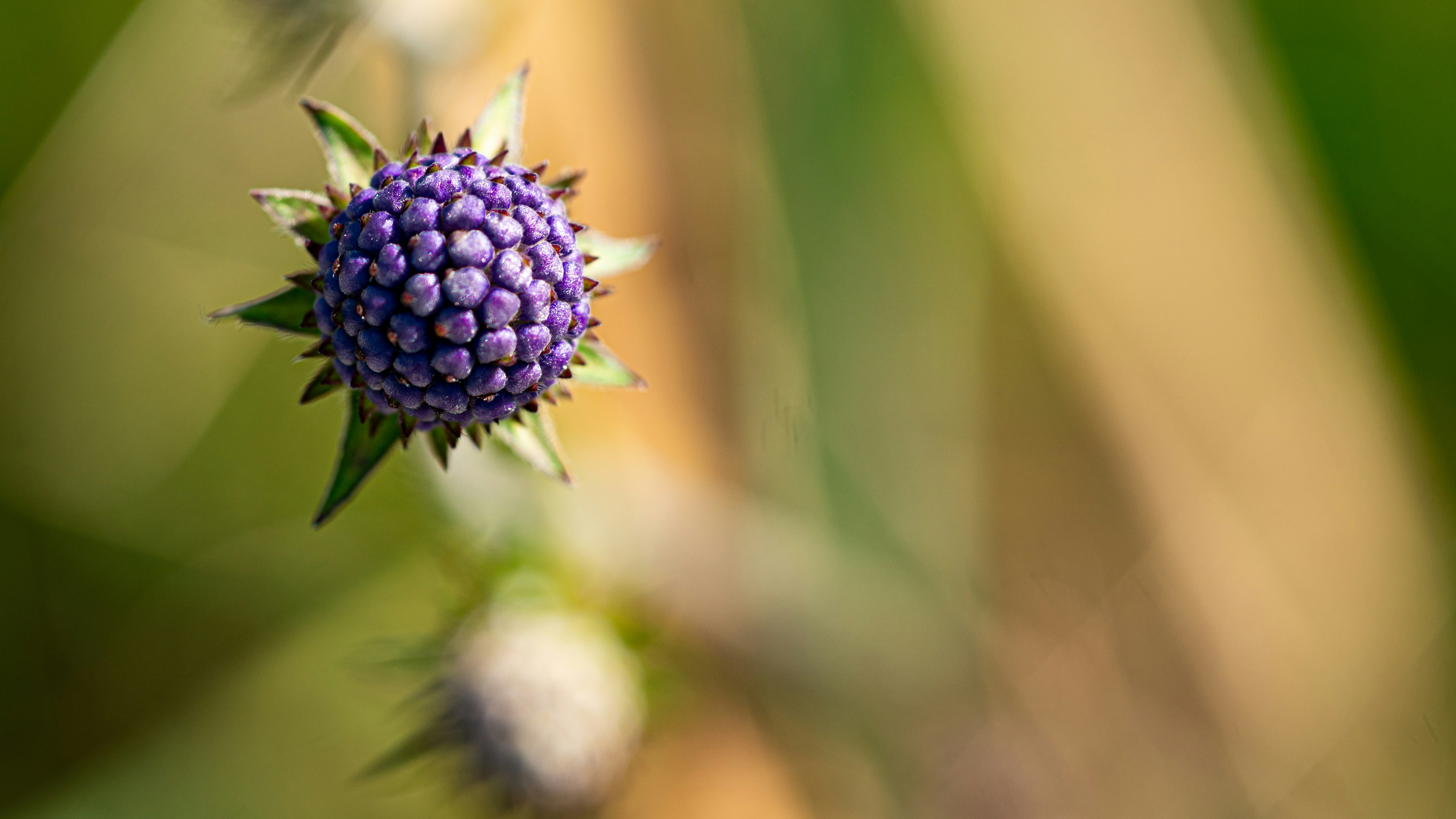 Photo by naturevisions