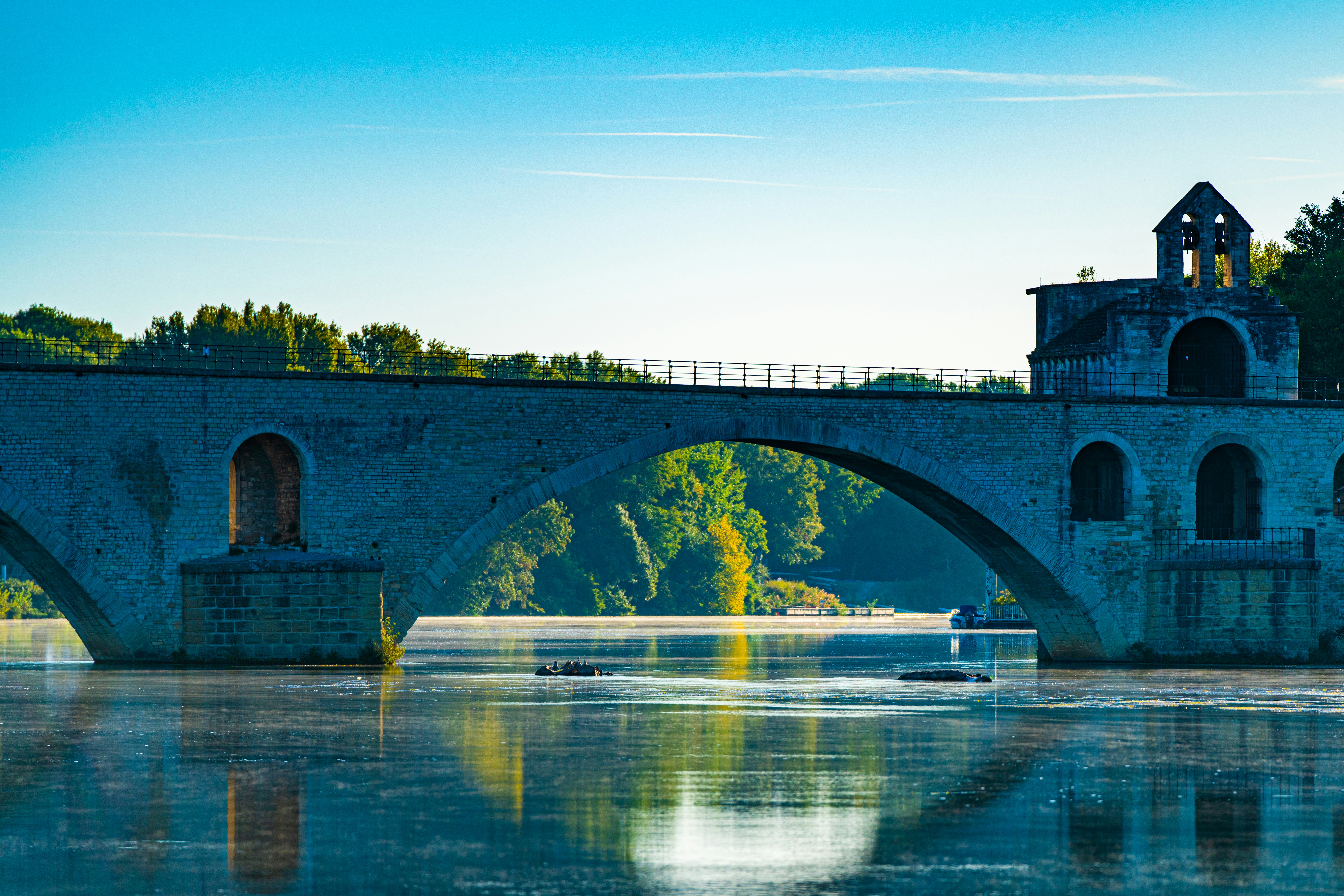 Photo by naturevisions