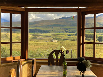 Inviting guest room with large windows overlooking lush green vineyards.