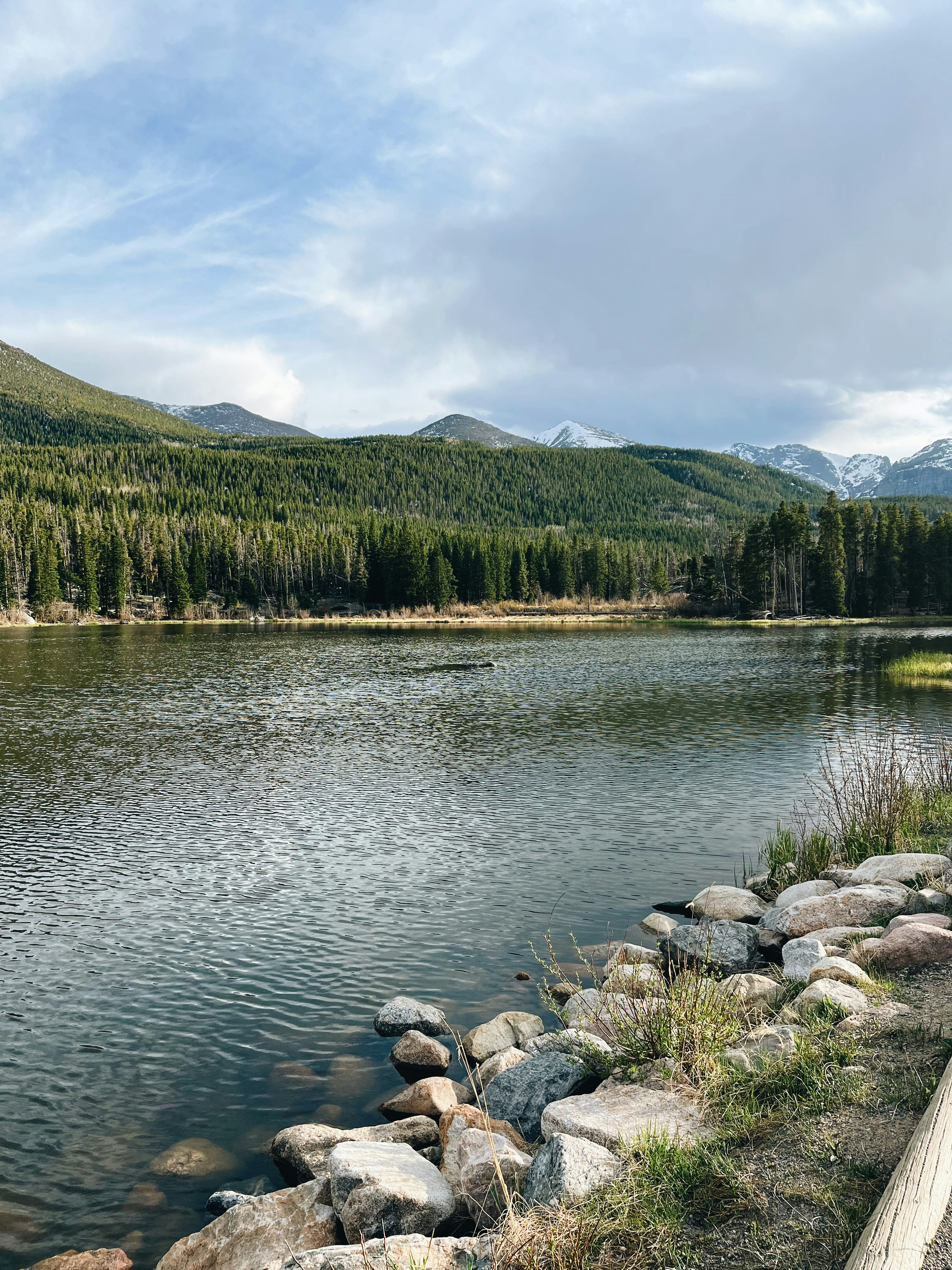 Photo by rachelalexander