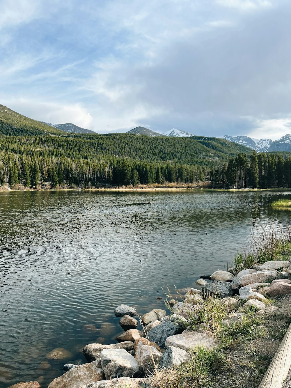 a lake with rocks and trees