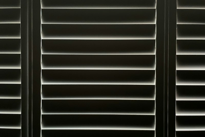 Screen Roller Blinds