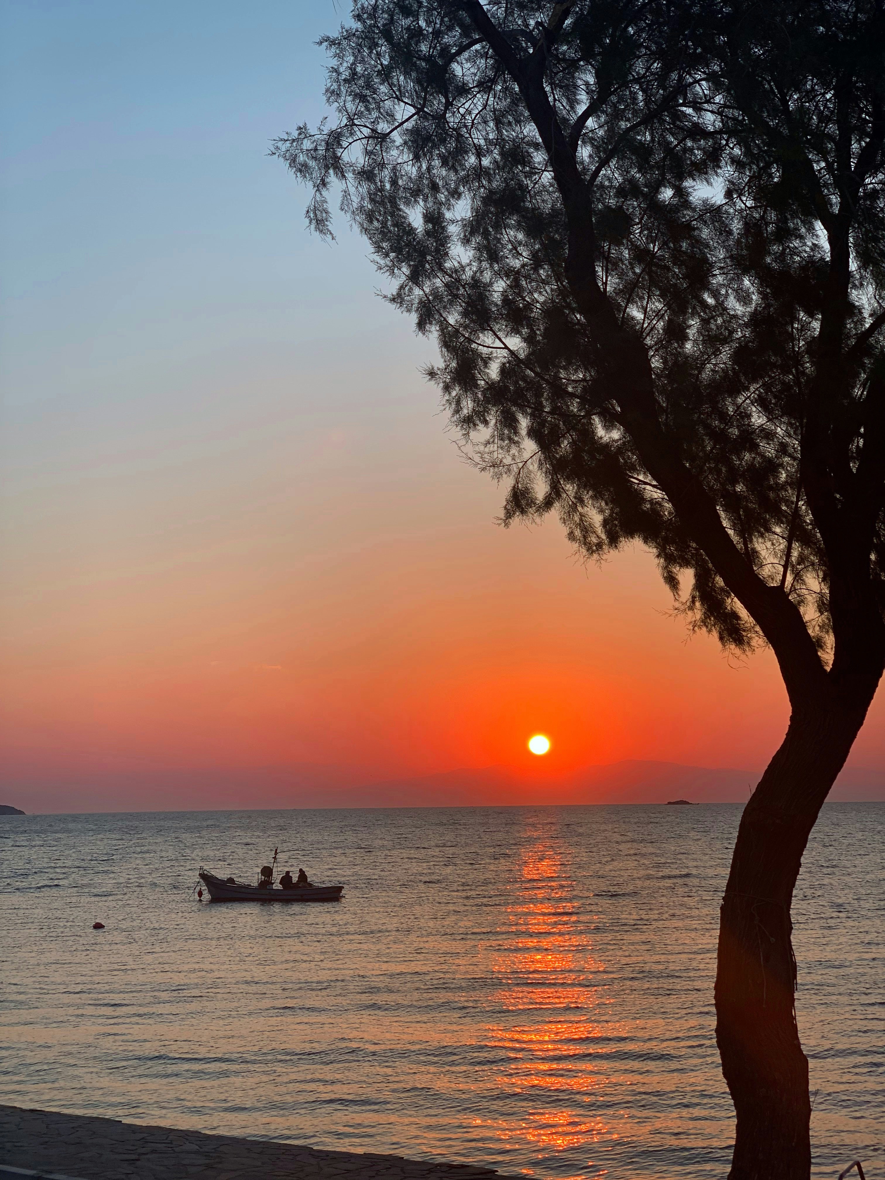 Photo by denizvatanbjork