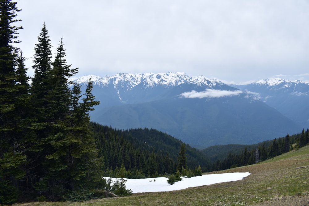 a snowy mountain range