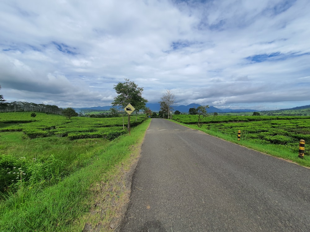 a road with grass and trees on the side