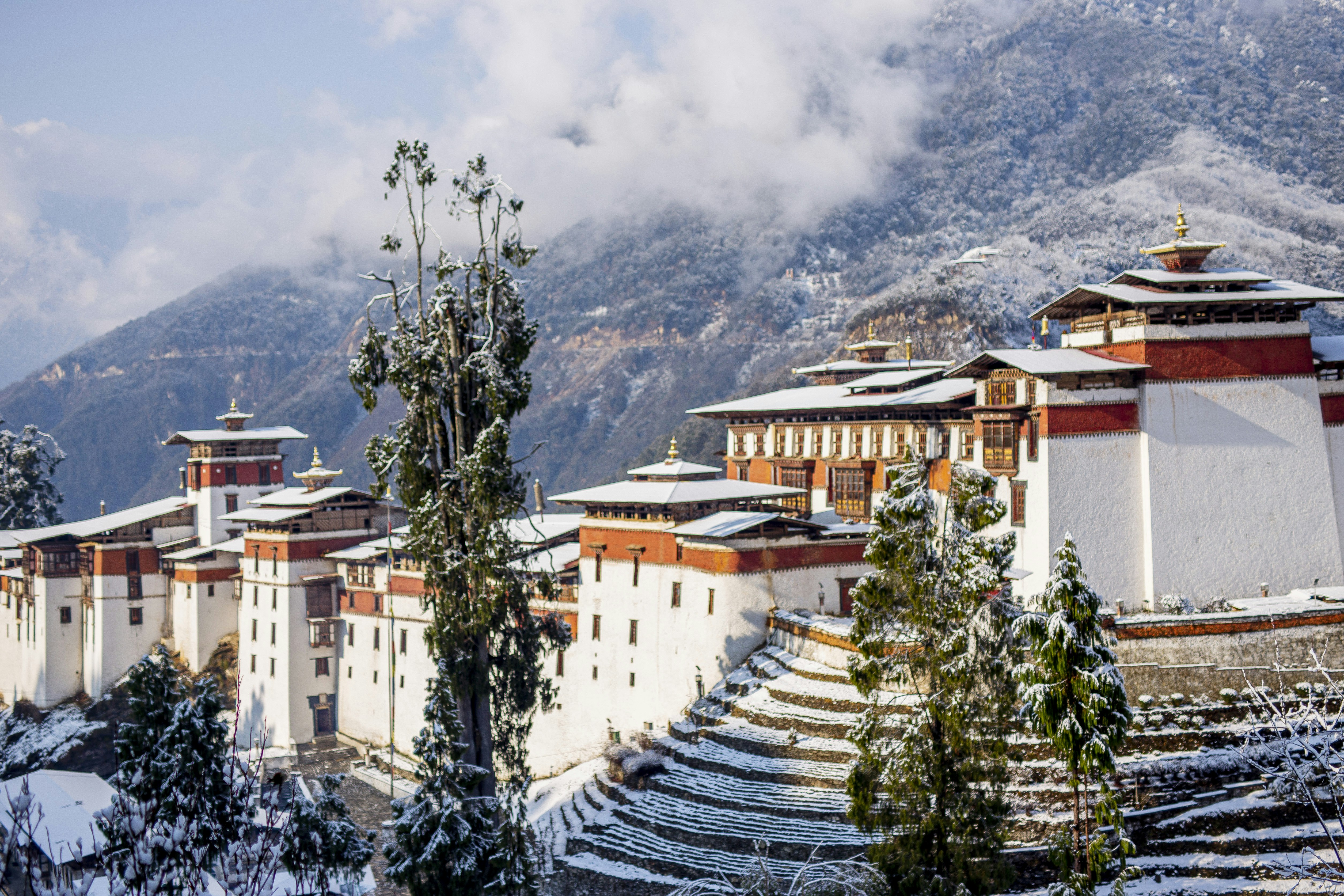 Un gruppo di edifici con alberi di fronte a loro e montagne sullo sfondo