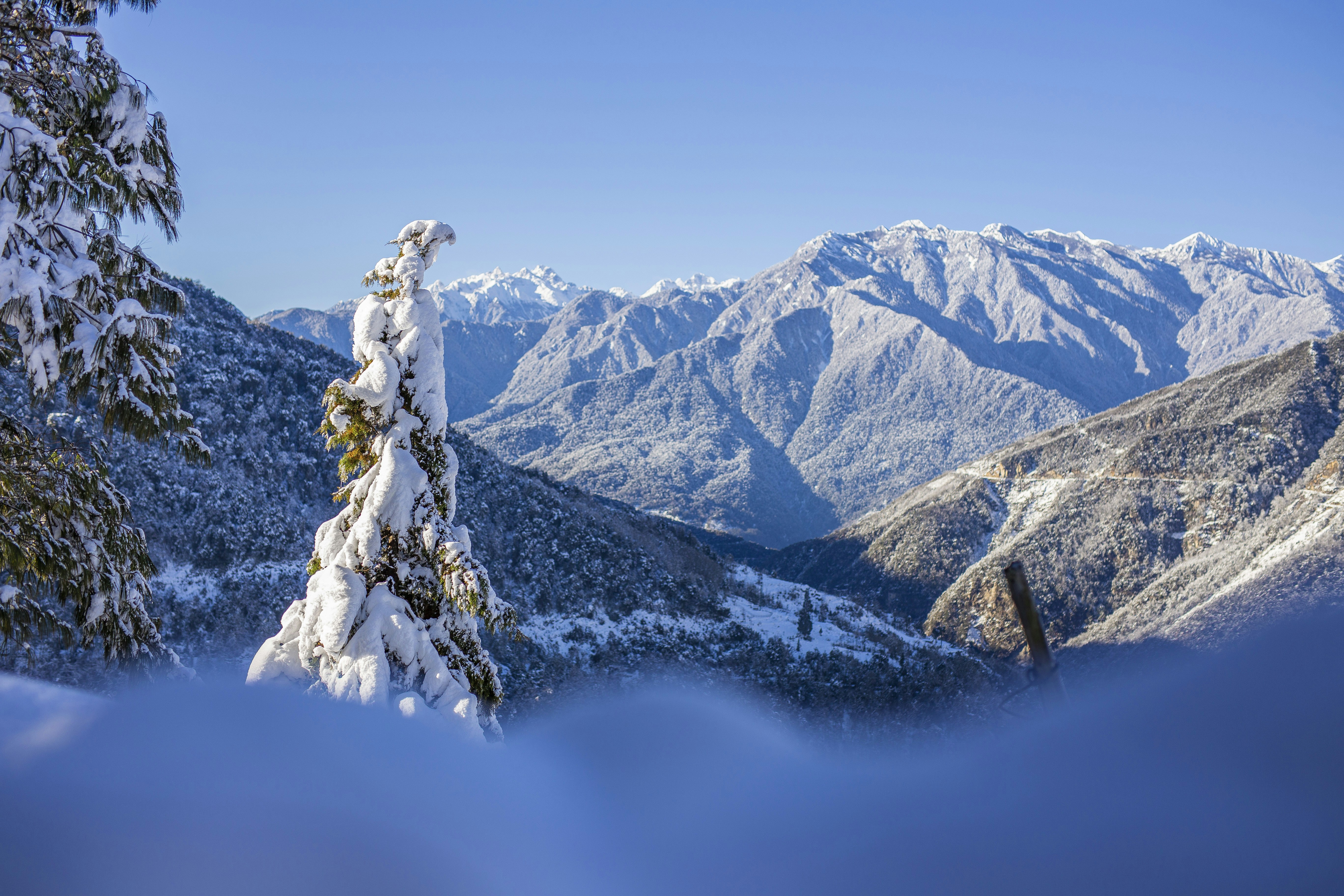 Photo by passa_tobgay21