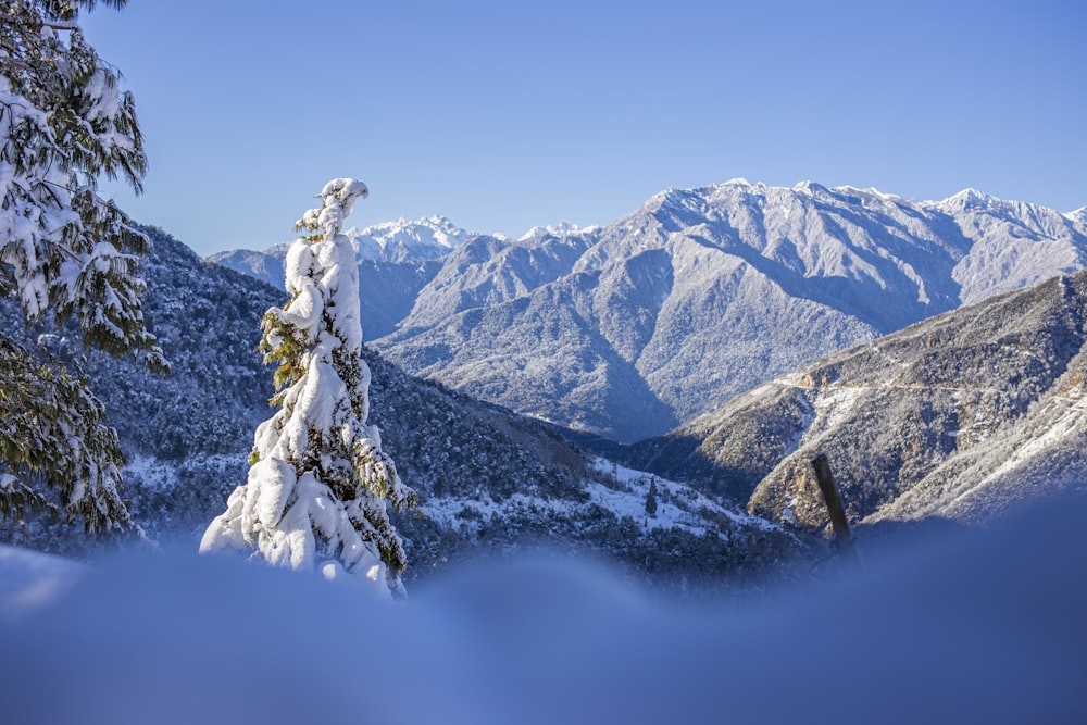 a snowy mountain range