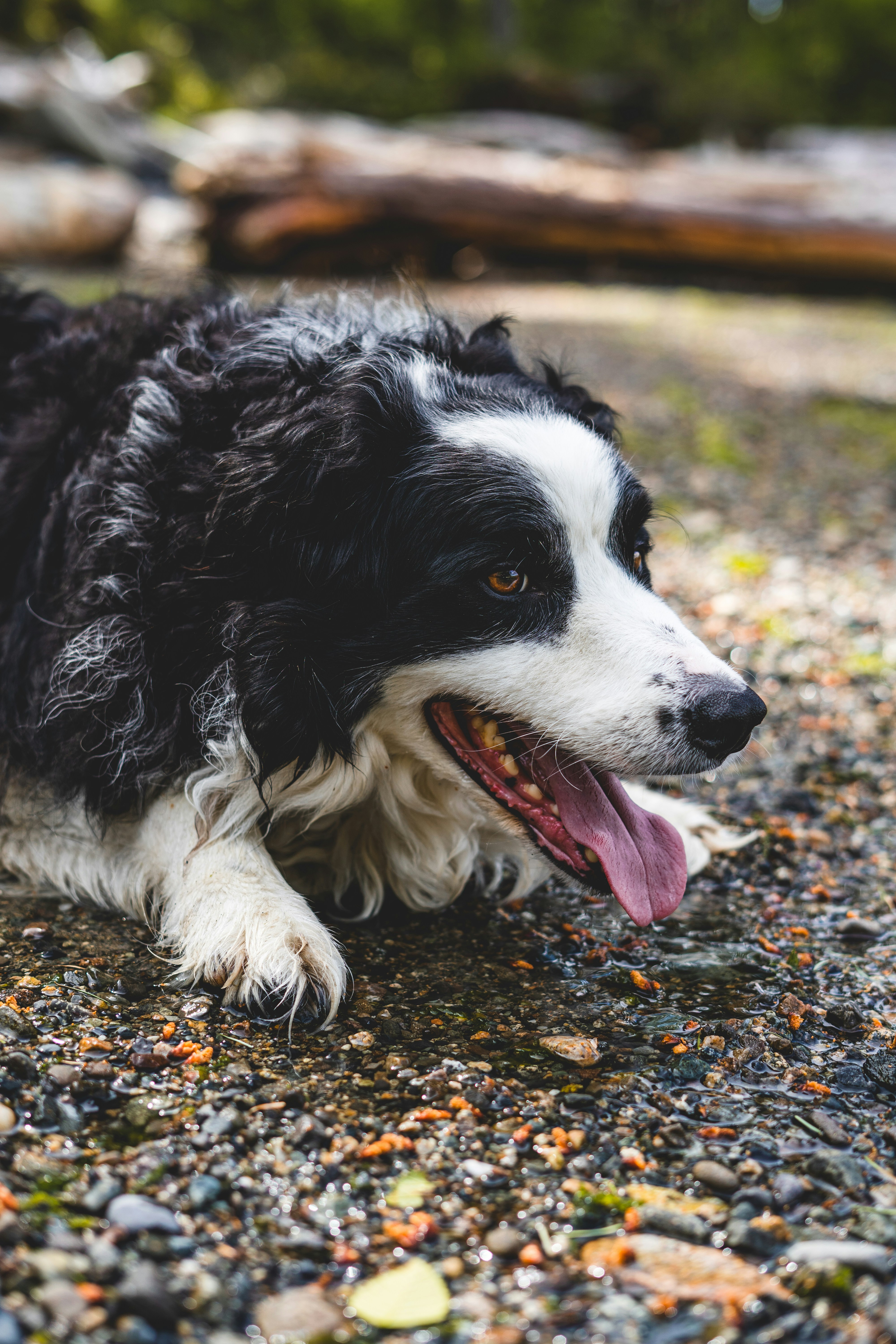 Photo by jaspergarrattphotography