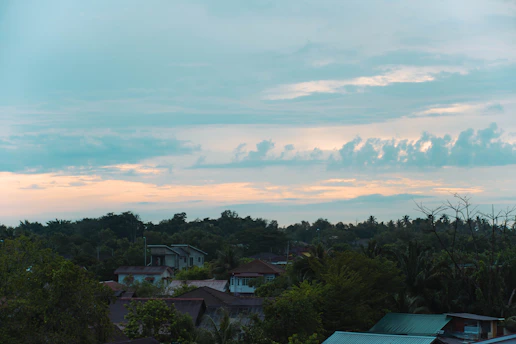 A serene morning scene of a quaint Odia village embraced by lush greenery and soft sunlight.