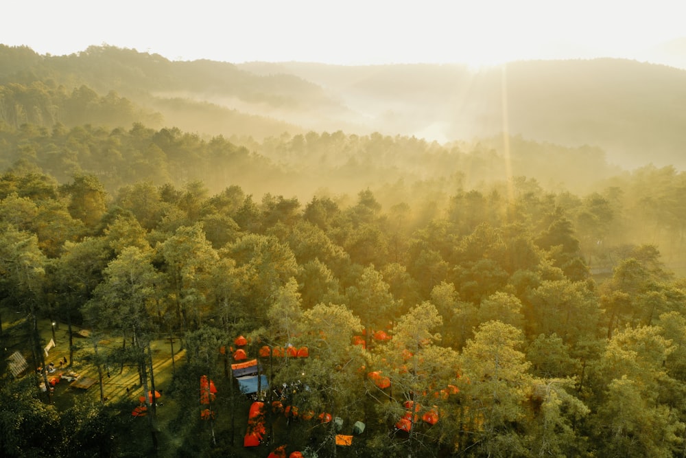 Un grupo de personas en un teleférico sobre un bosque