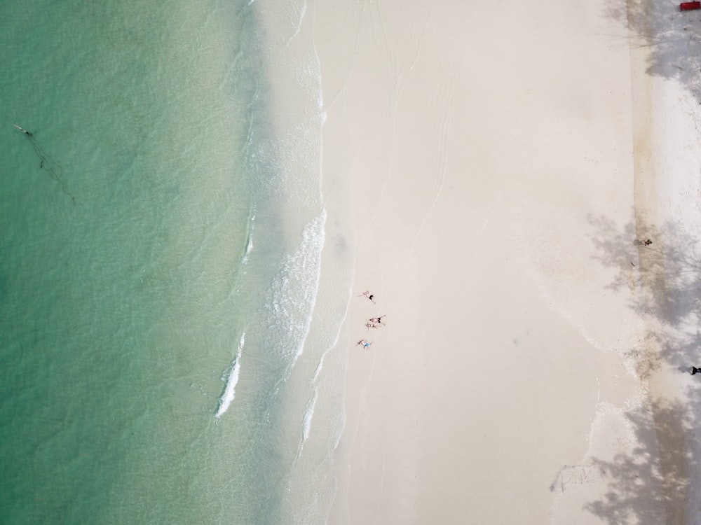 a group of people on a beach