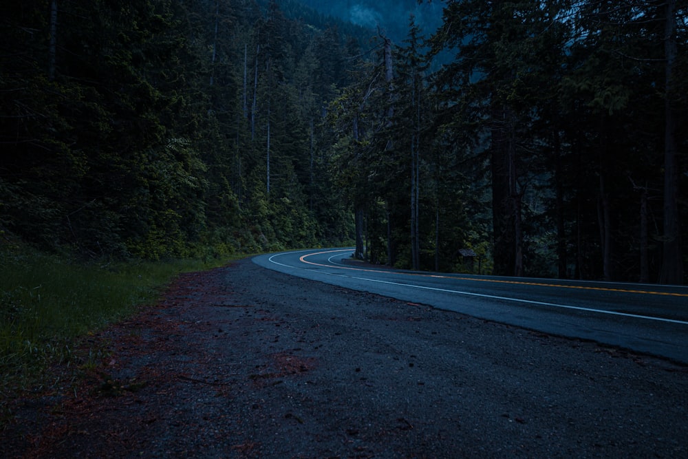 a road with trees on the side