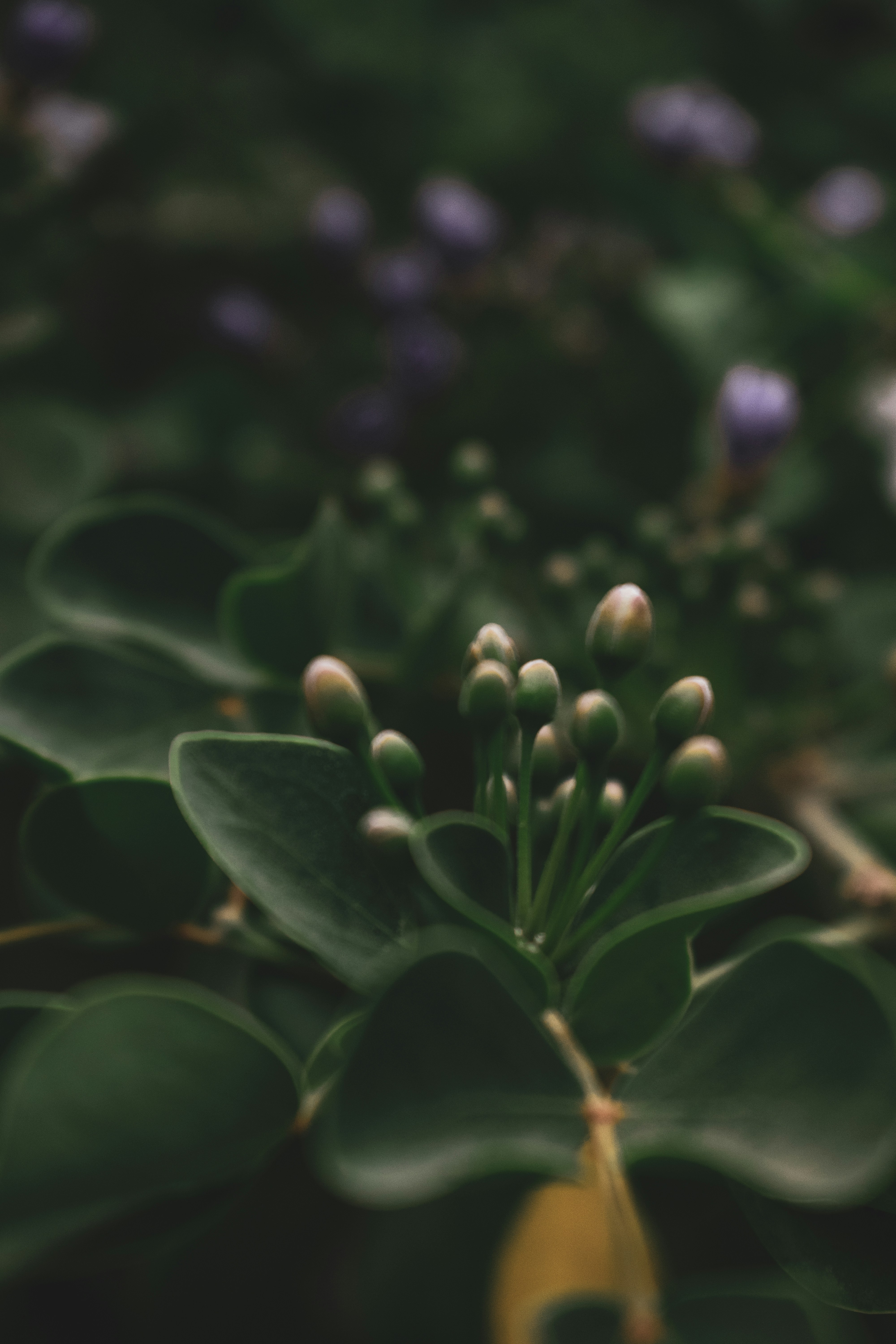 Photo by rayyanruknani