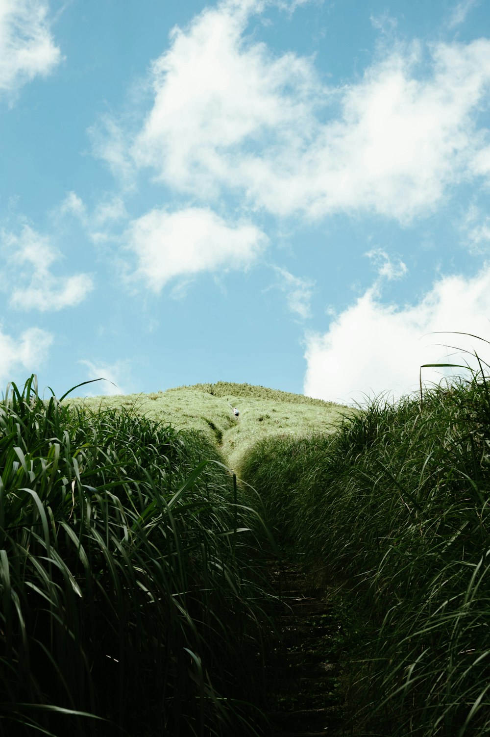 a grassy hill with clouds in the sky
