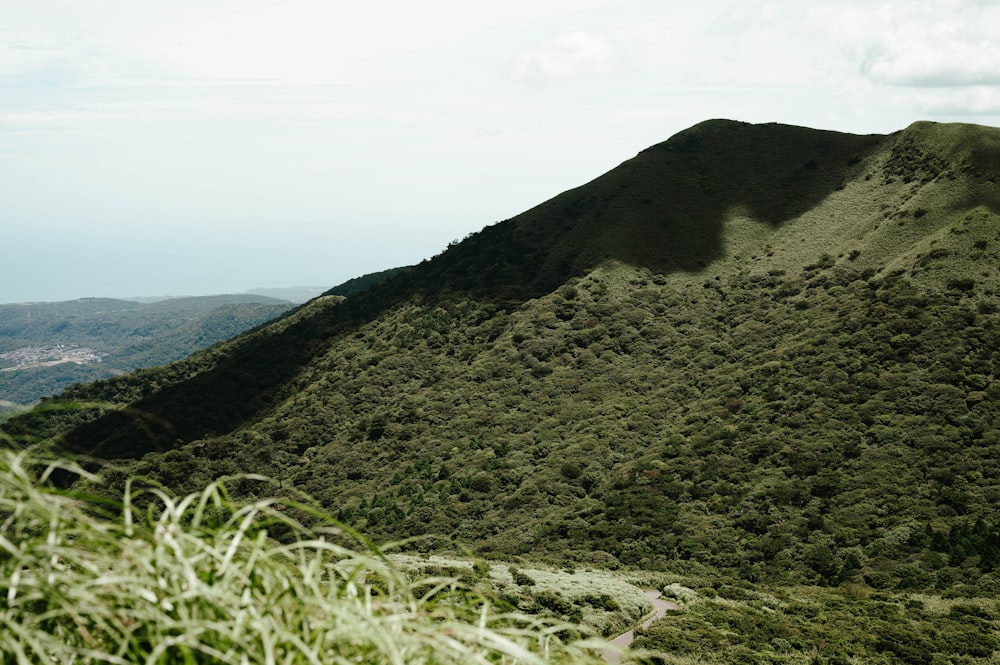 a grassy hill with a trail