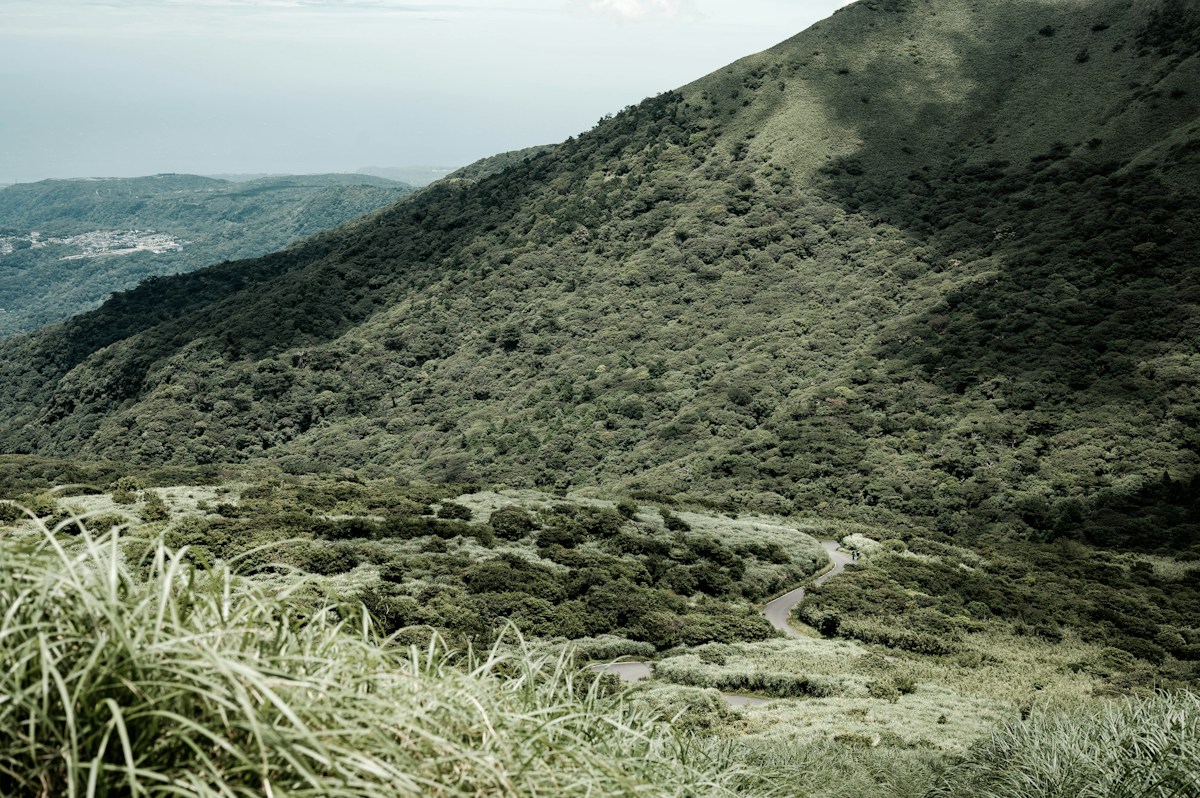 一條蜿蜒山路穿過翠綠山林，適合自駕欣賞台灣山區風景