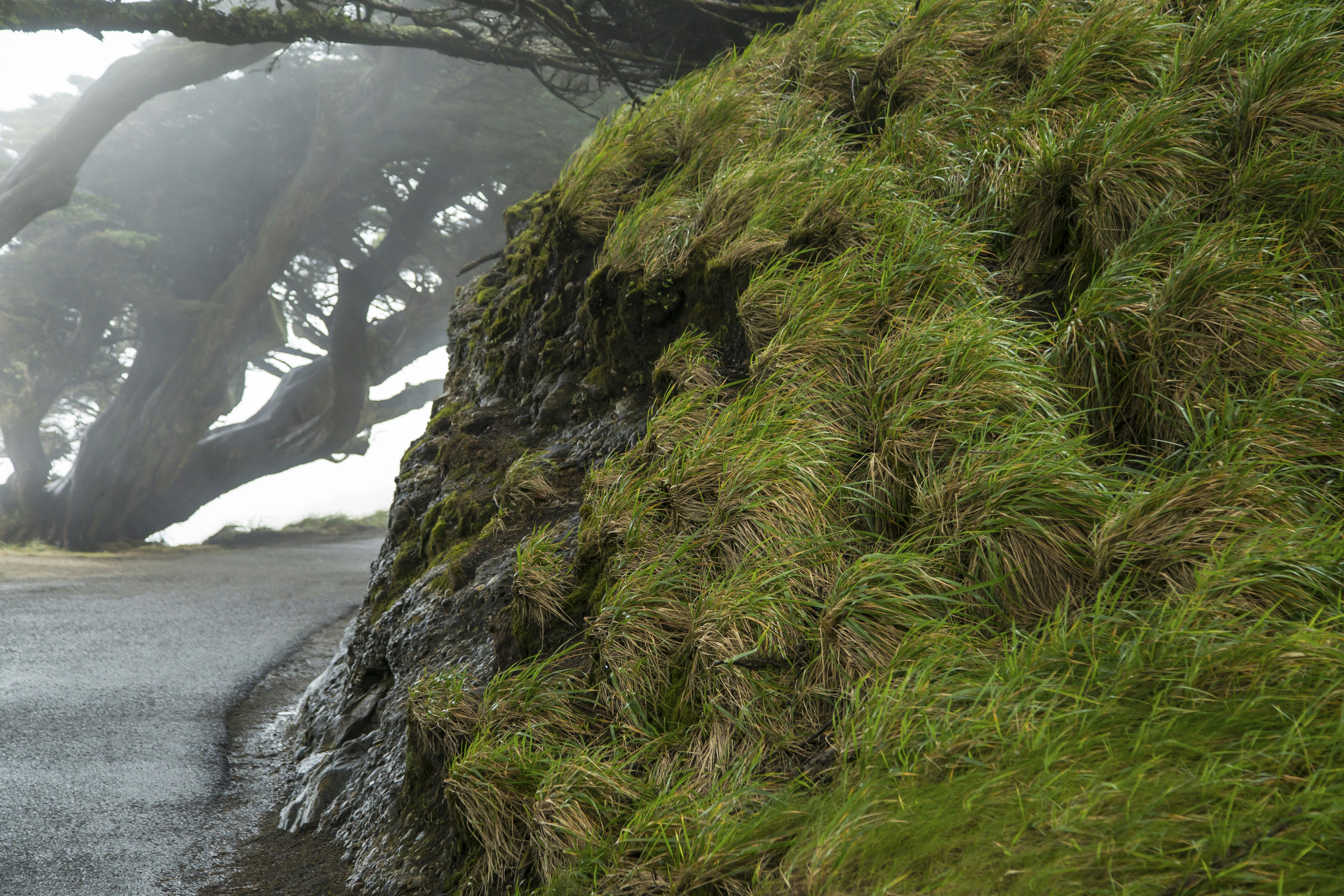 Photo by leo_visions_