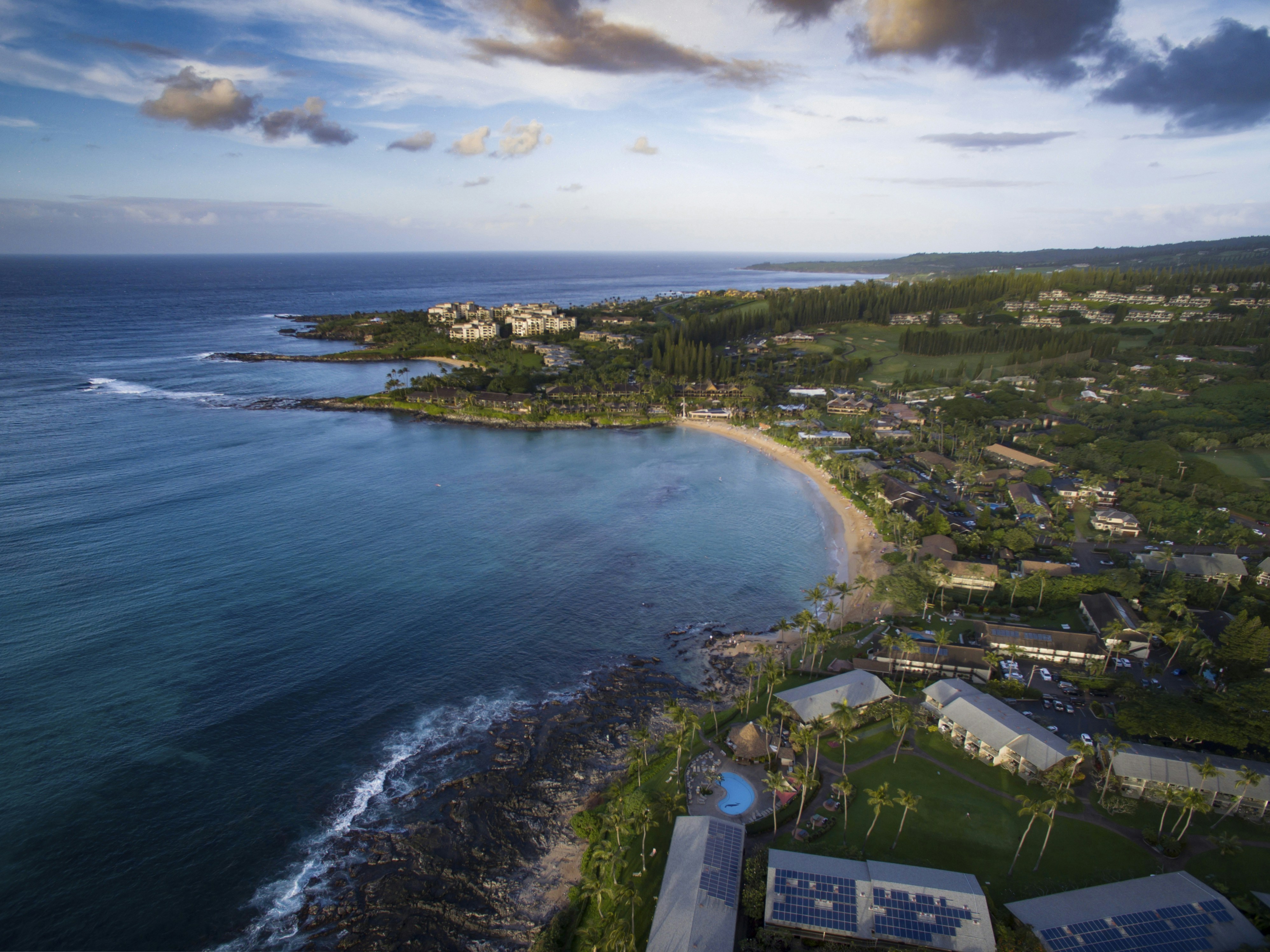 Photo by leo_visions_