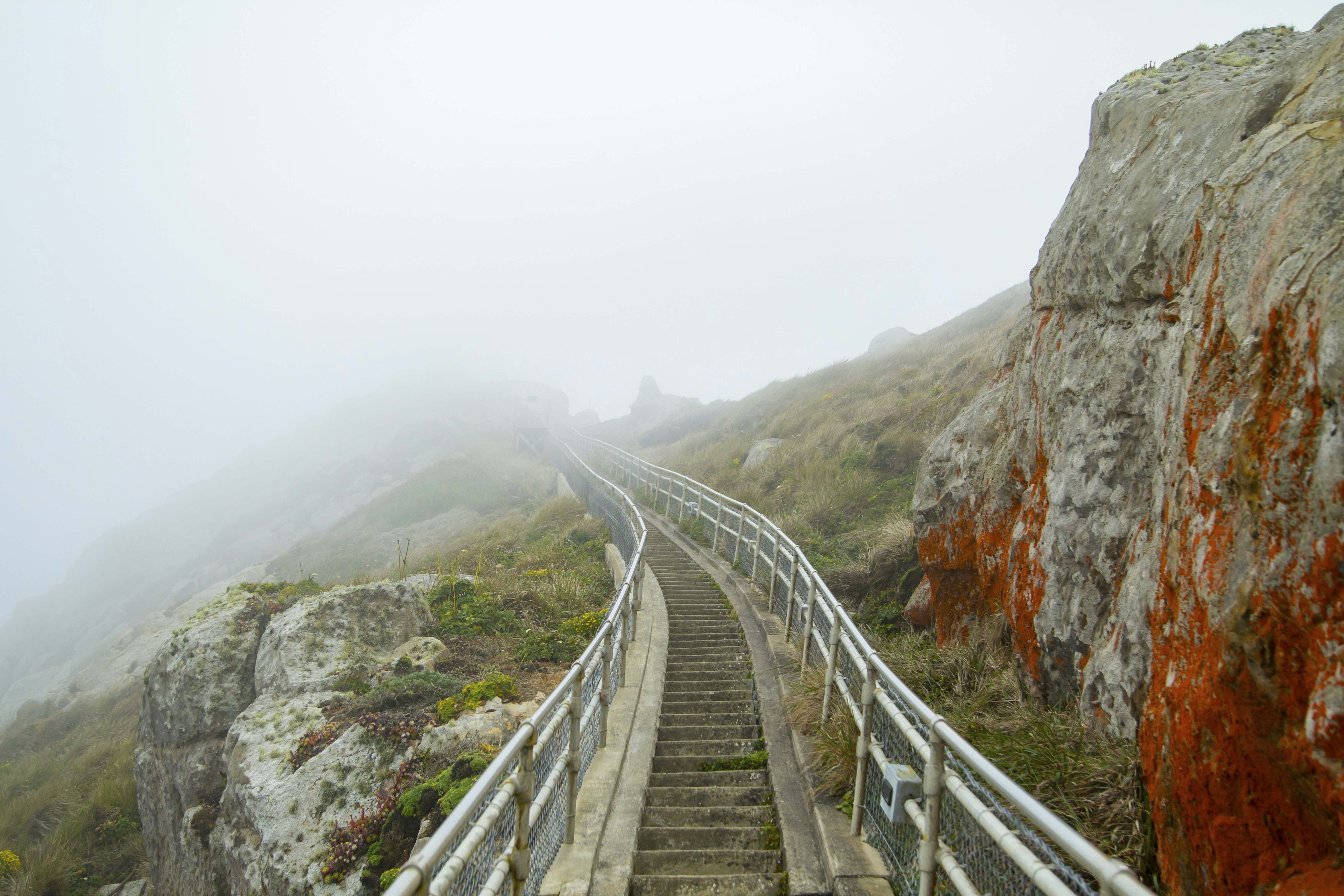 Photo by leo_visions_