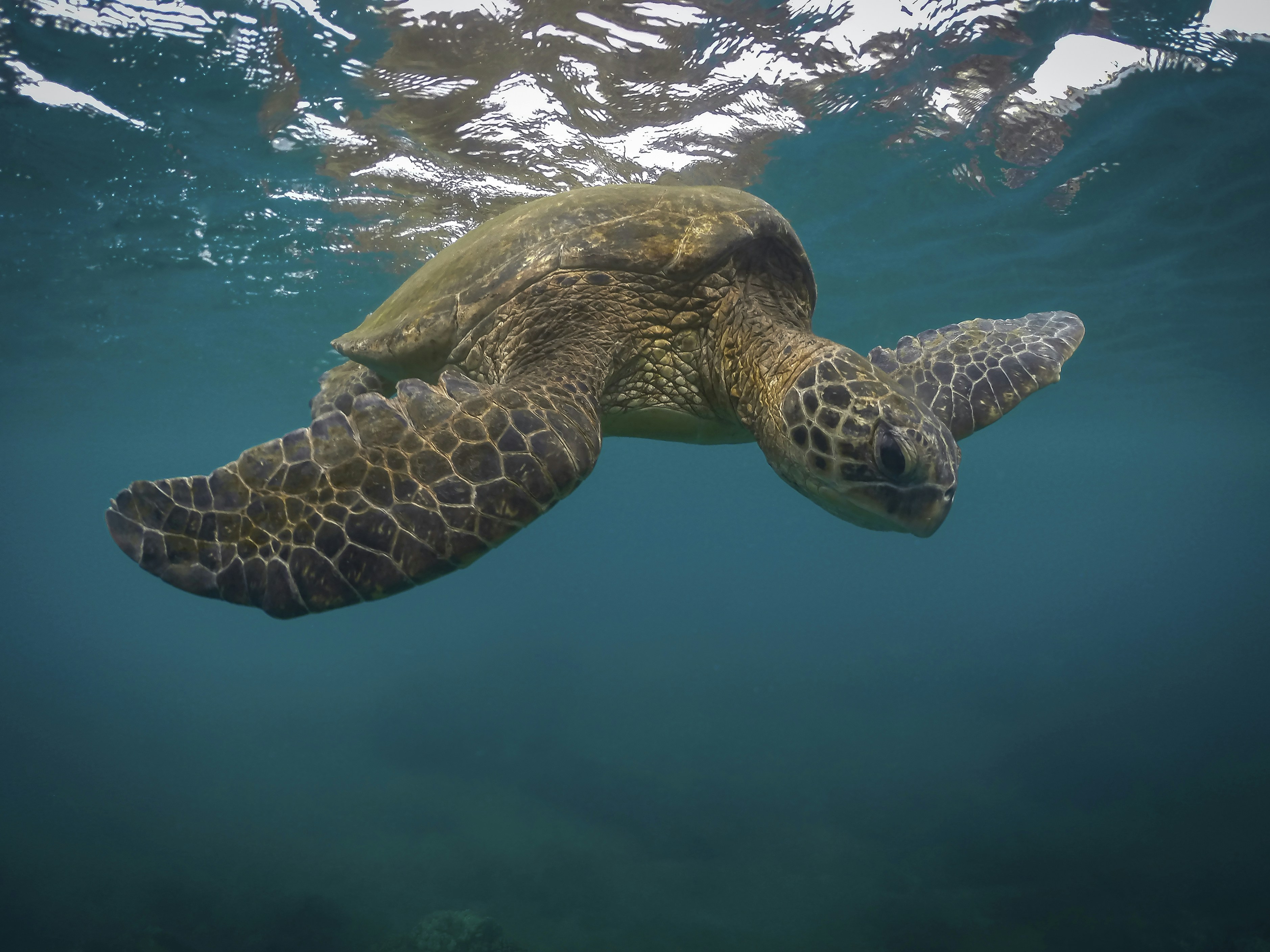 Photo by leo_visions_