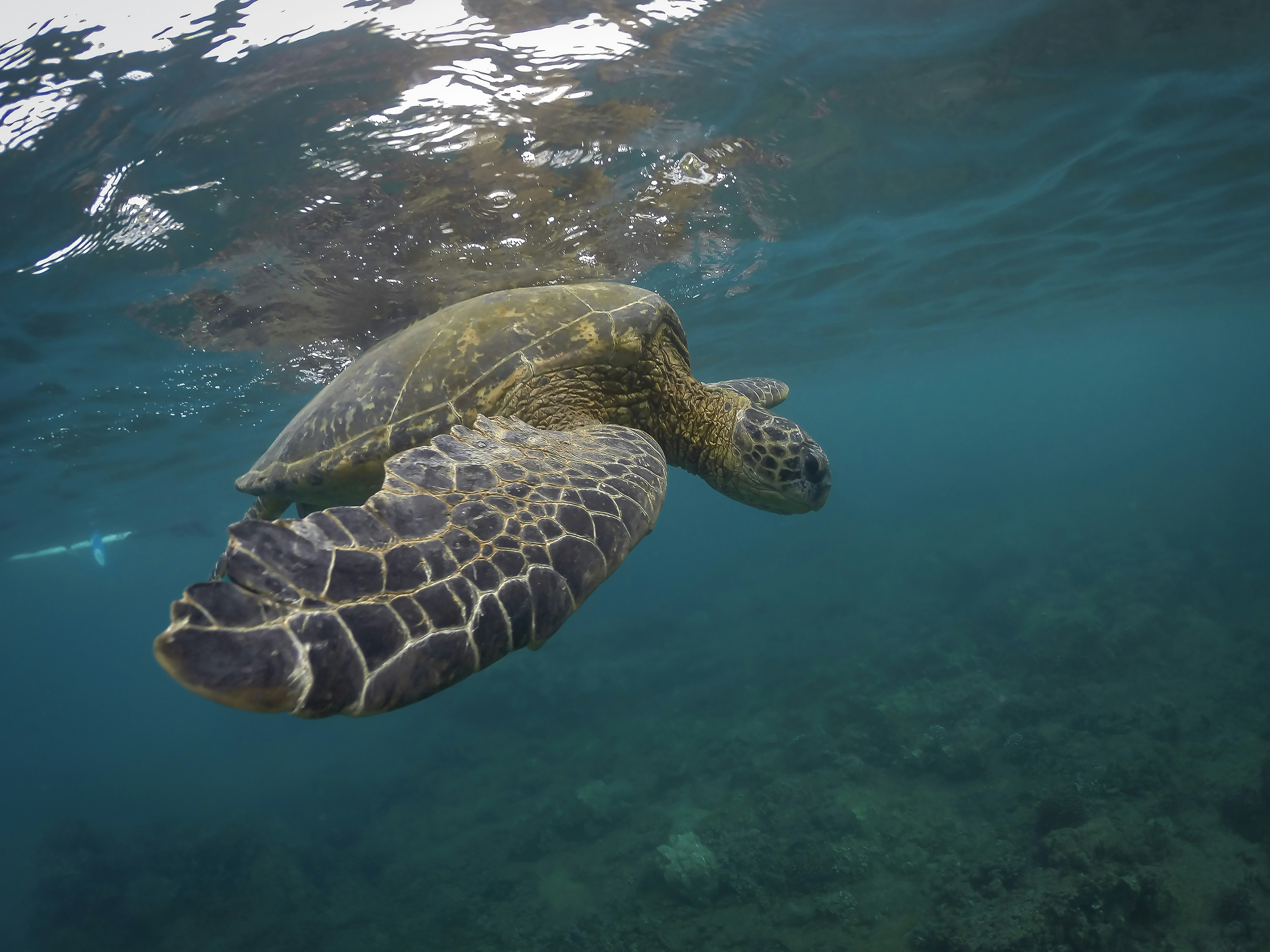 Photo by leo_visions_