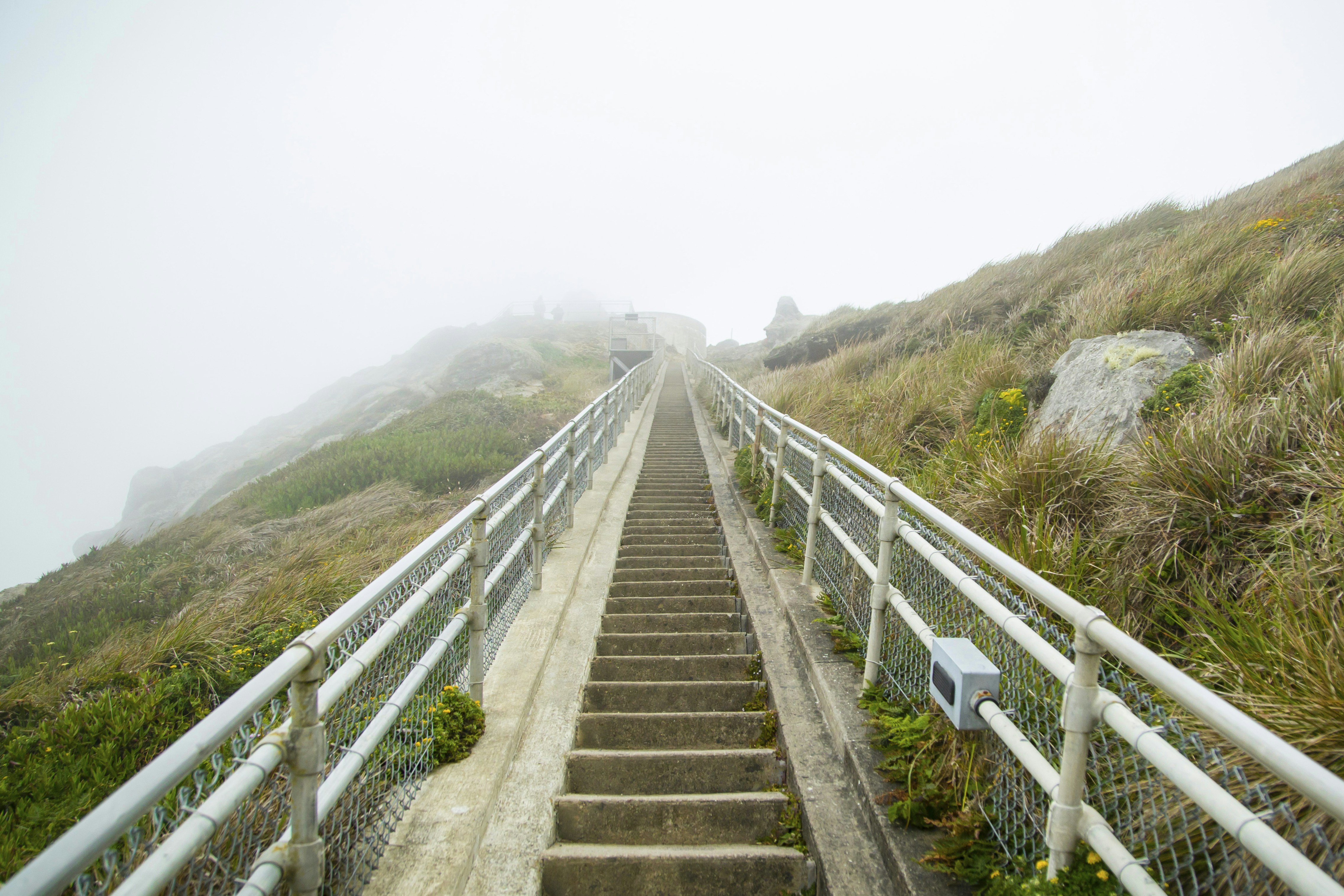 Photo by leo_visions_