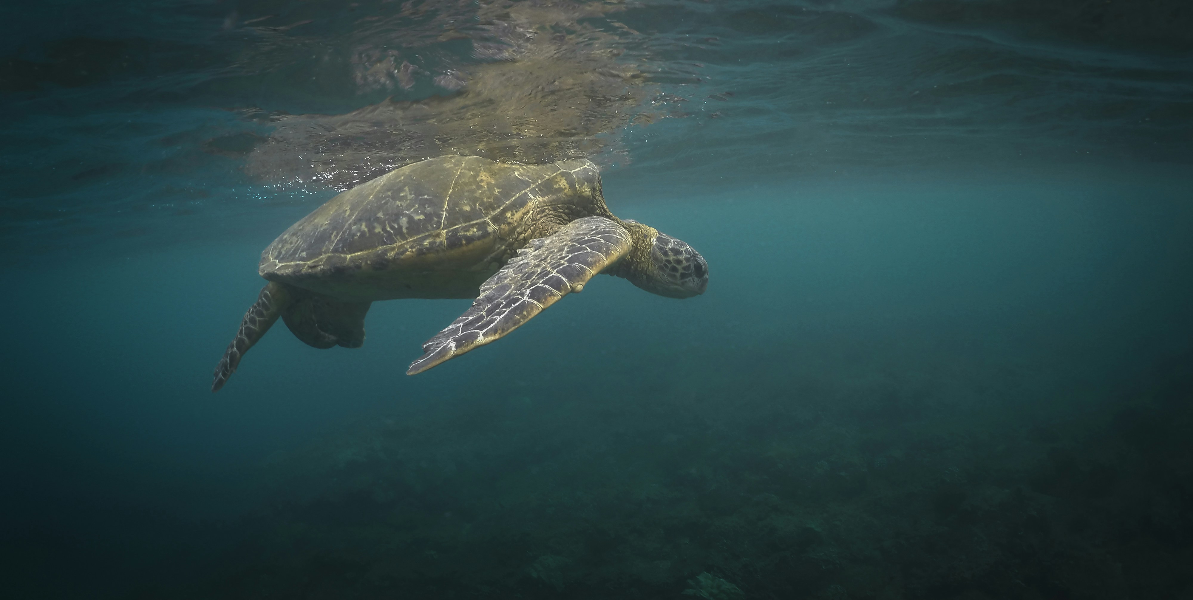 Photo by leo_visions_