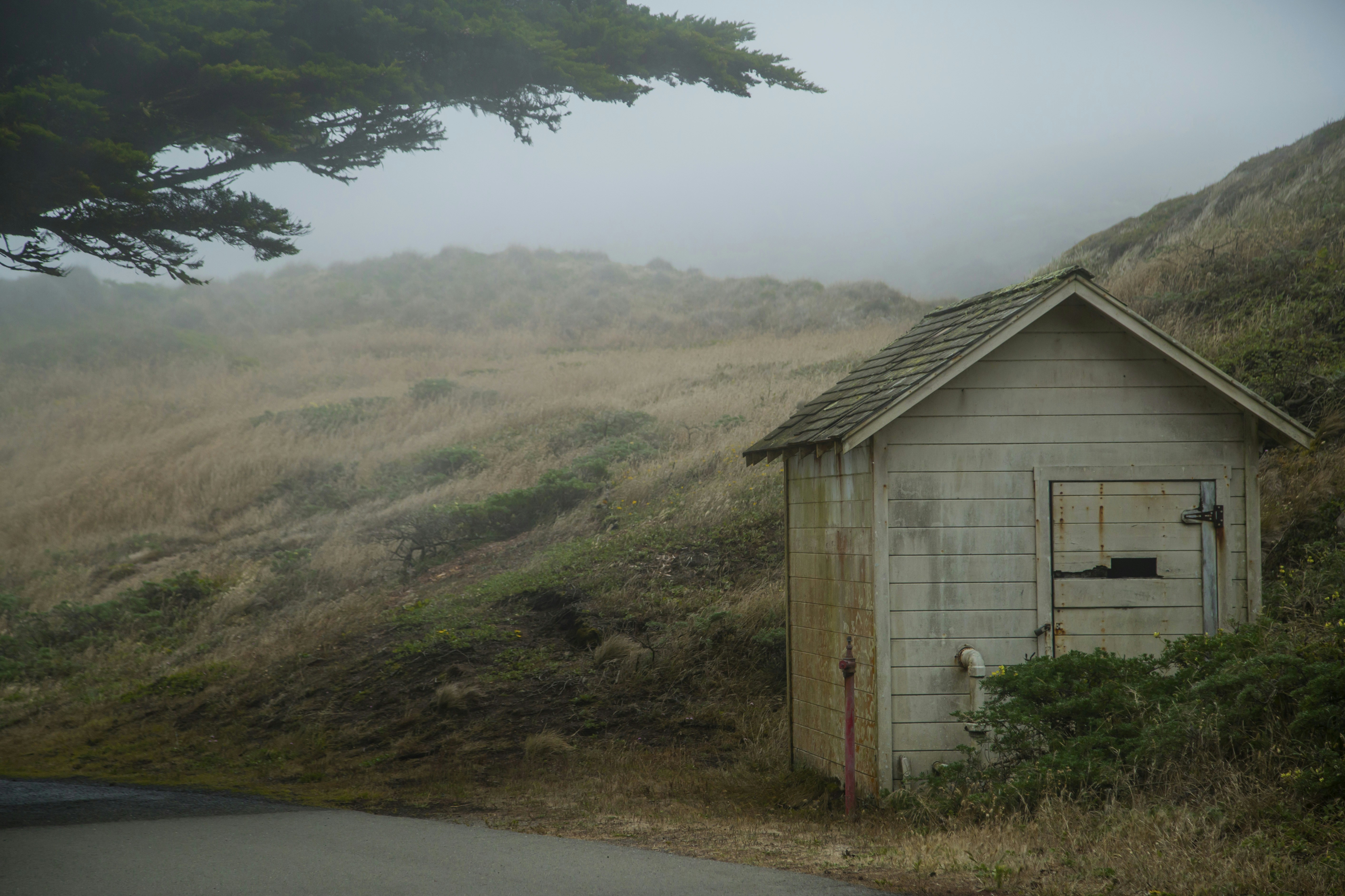 Photo by leo_visions_