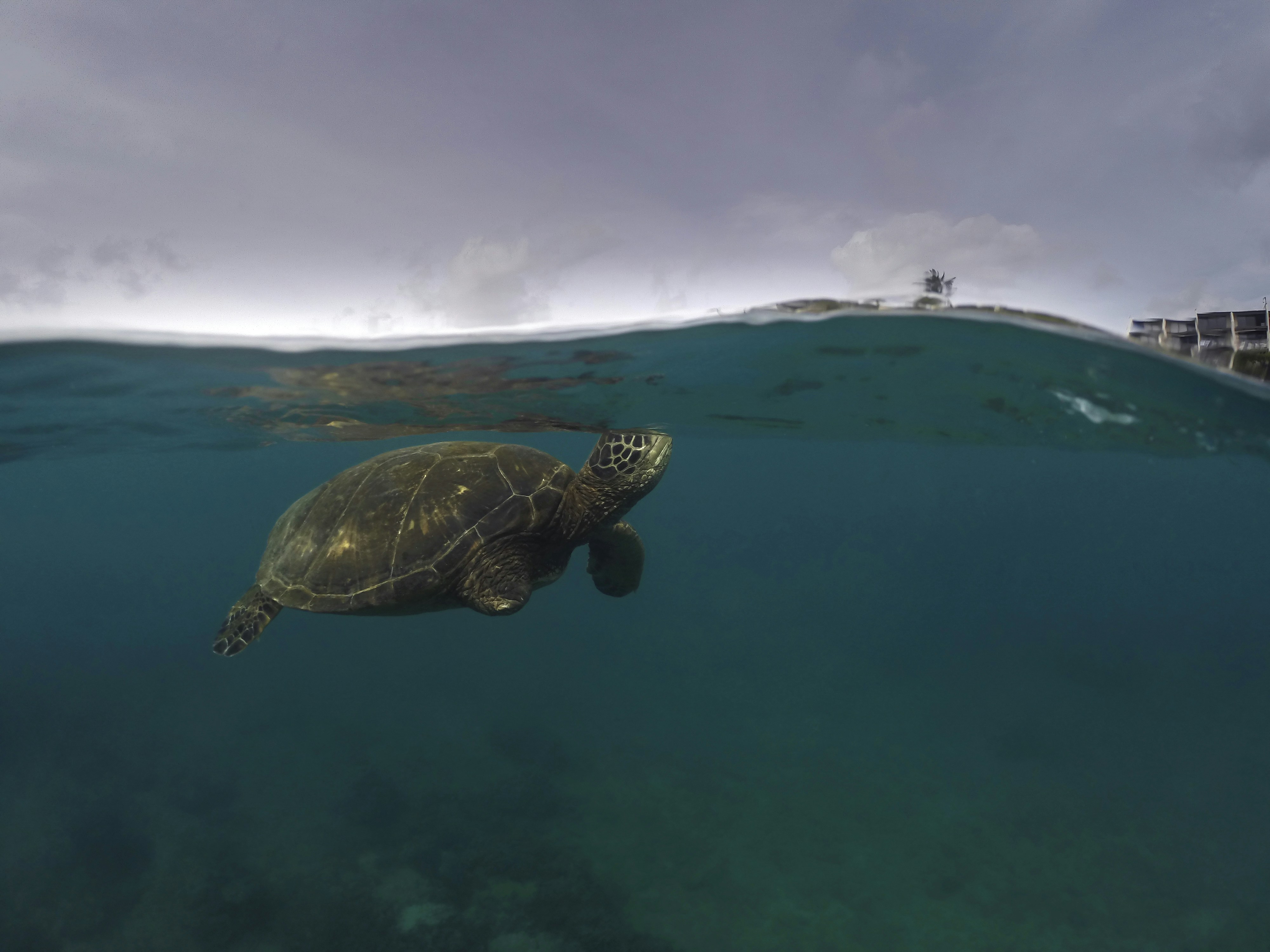 Photo by leo_visions_