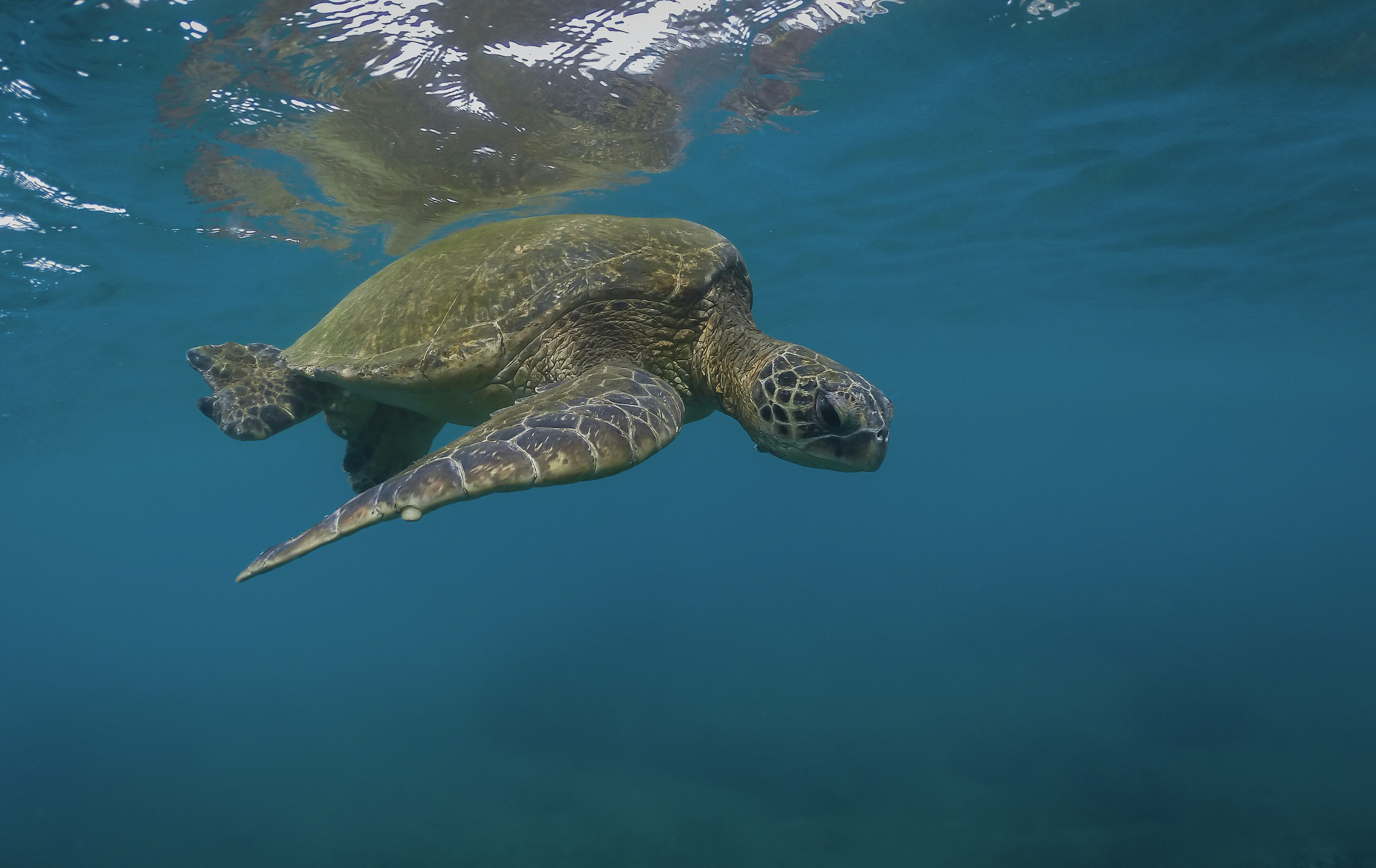 Photo by leo_visions_