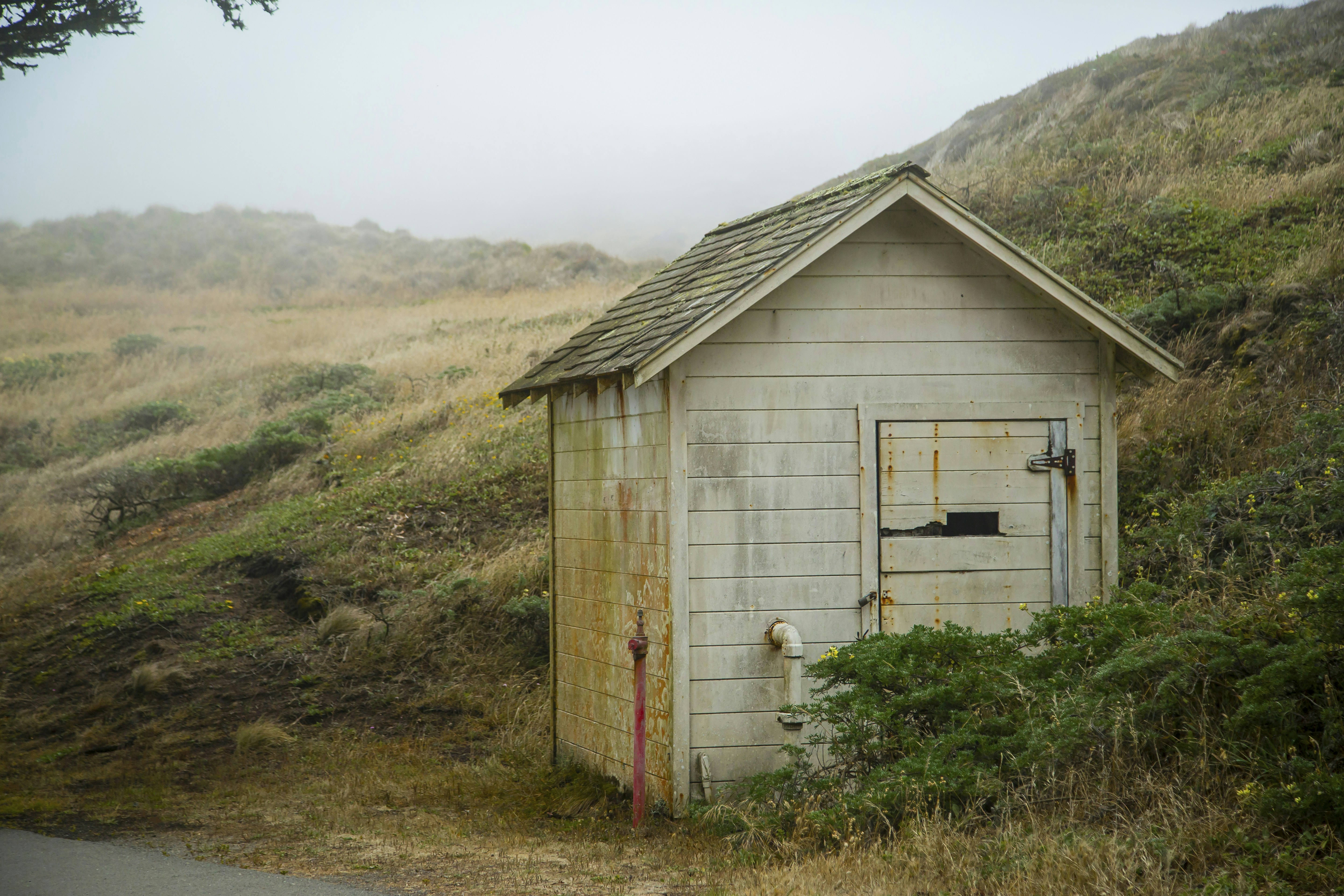 Photo by leo_visions_