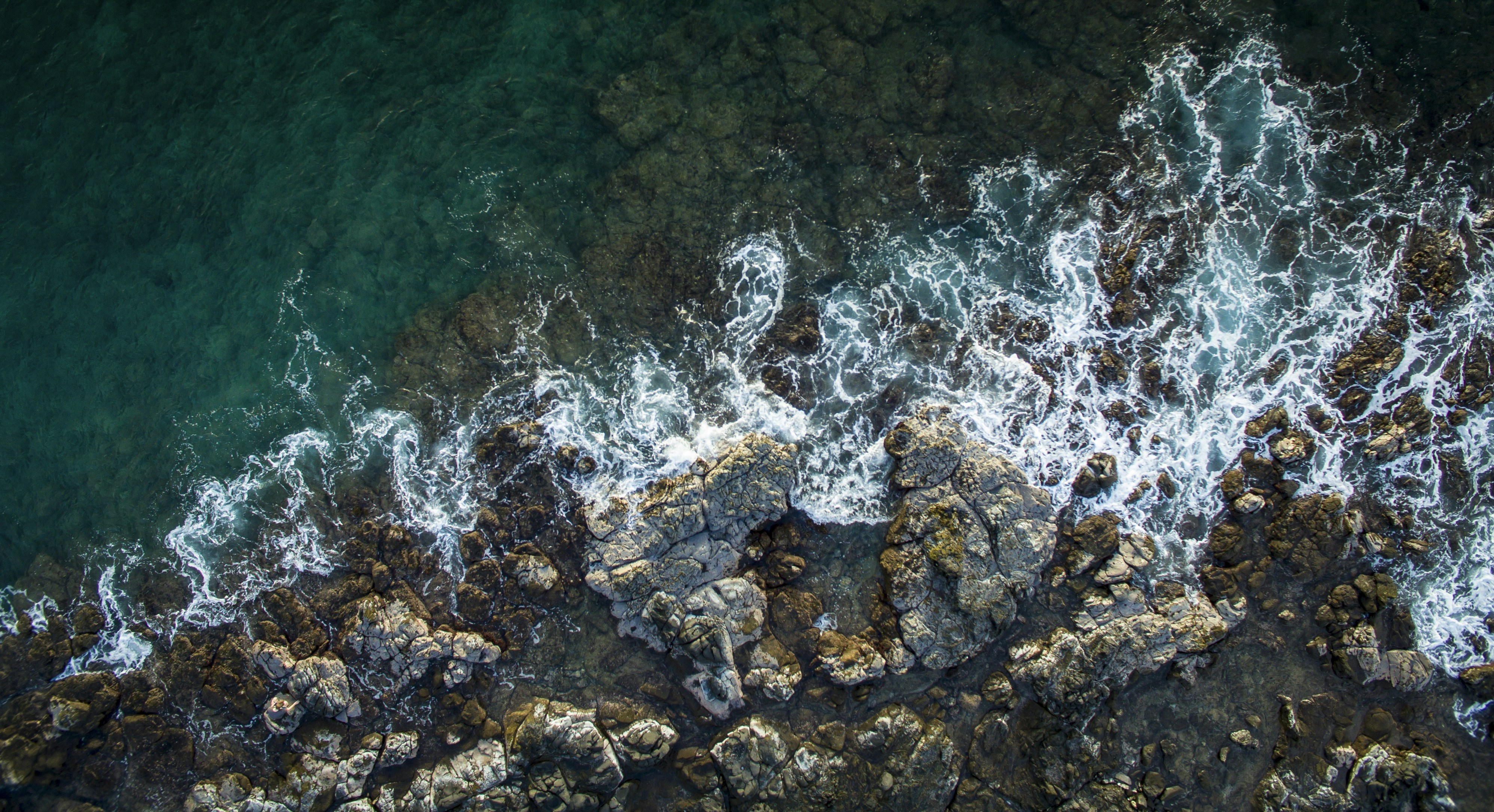 Photo by leo_visions_