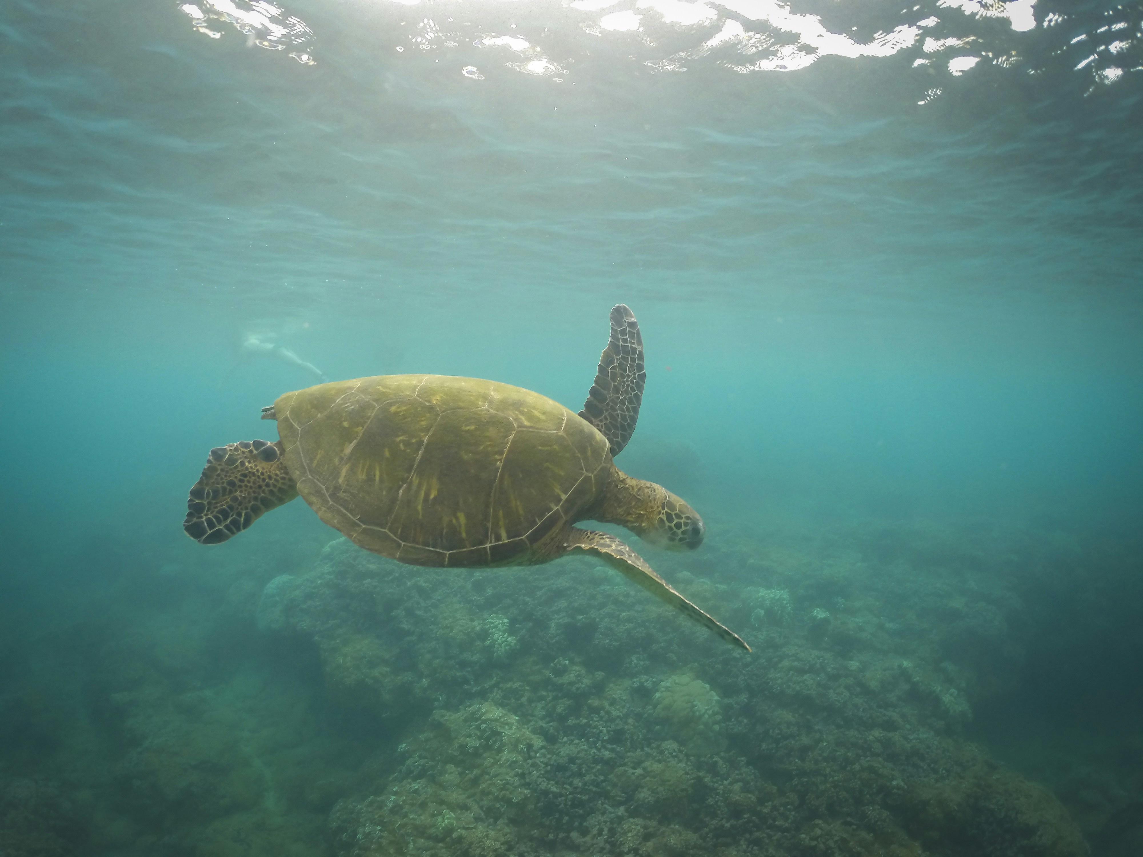 Photo by leo_visions_