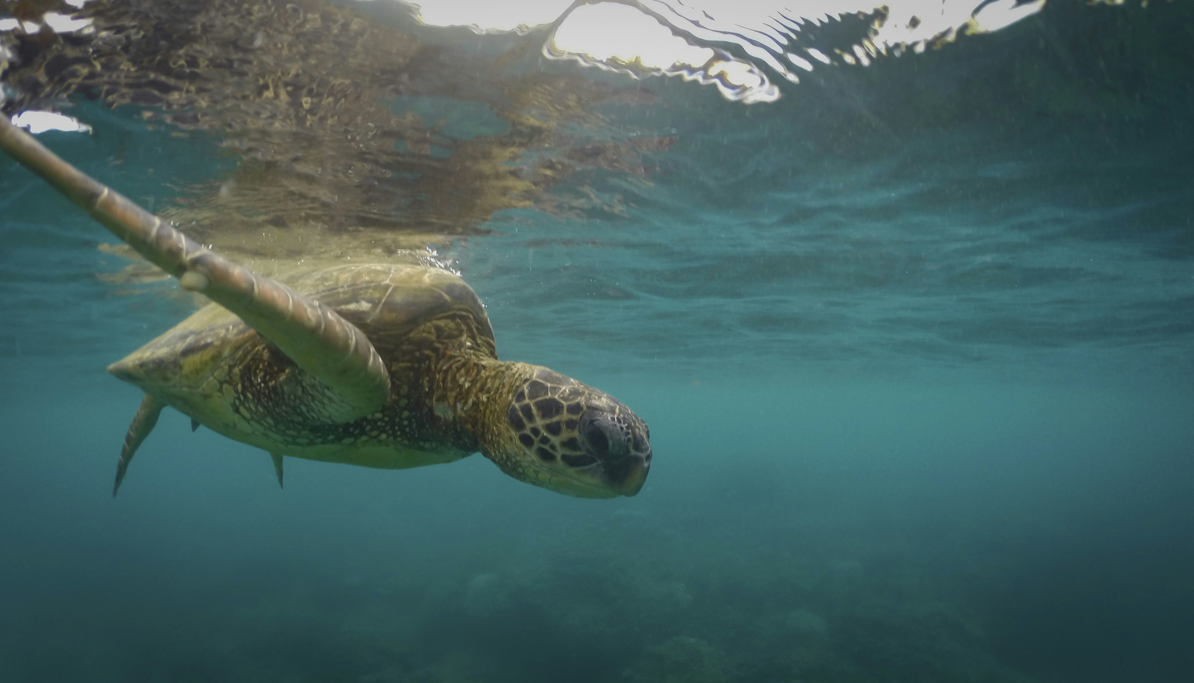 Photo by leo_visions_