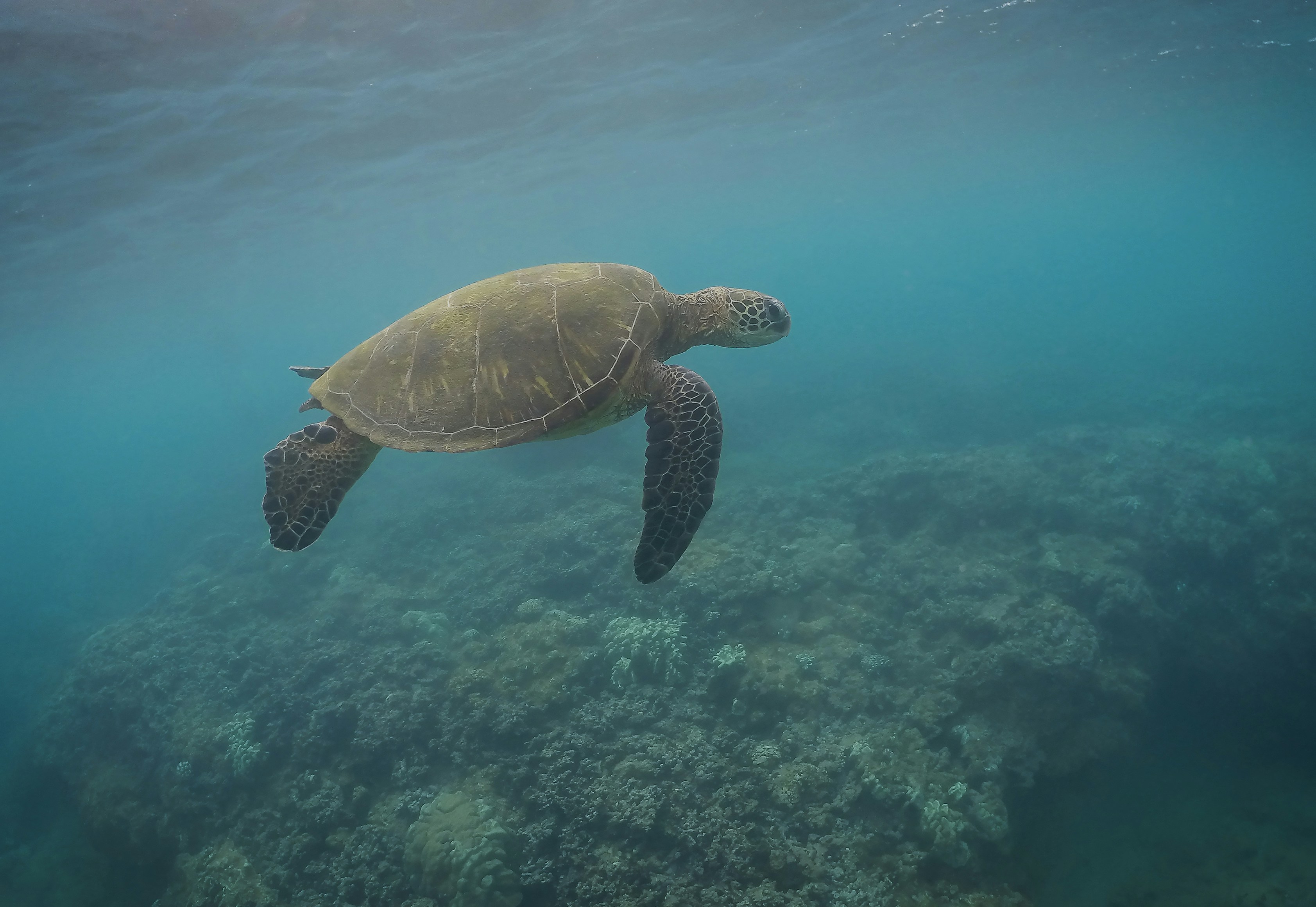 Photo by leo_visions_