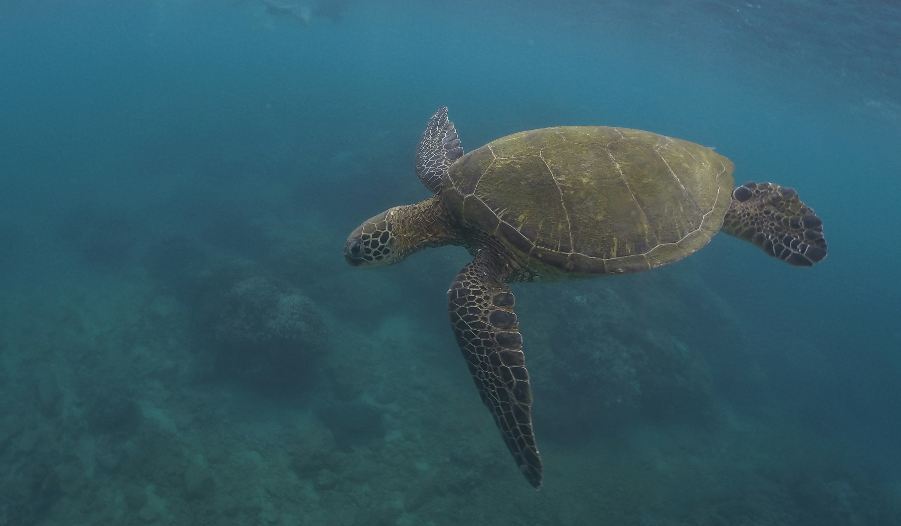 Photo by leo_visions_