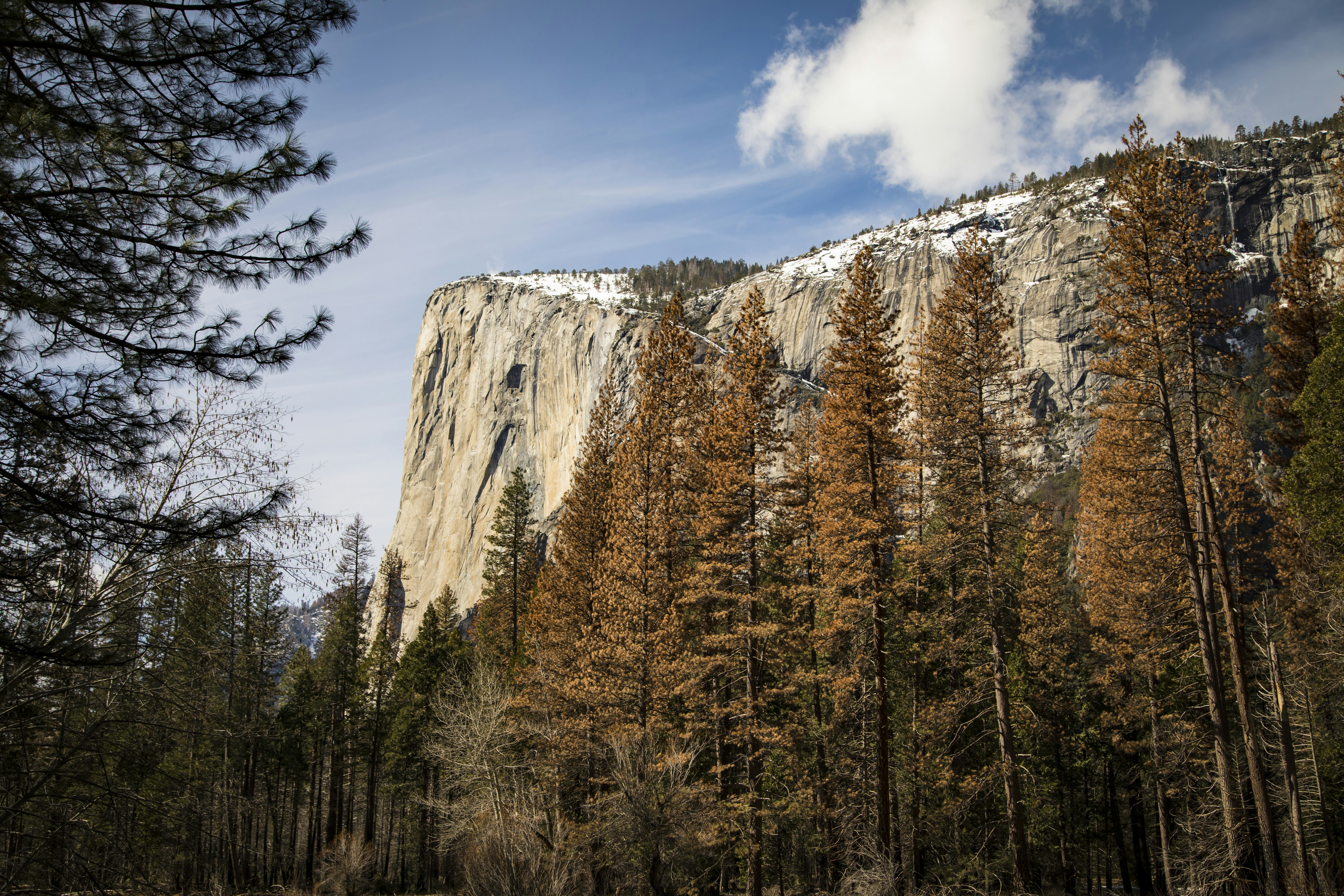 A rocky mountain with trees photo – Free Image on Unsplash