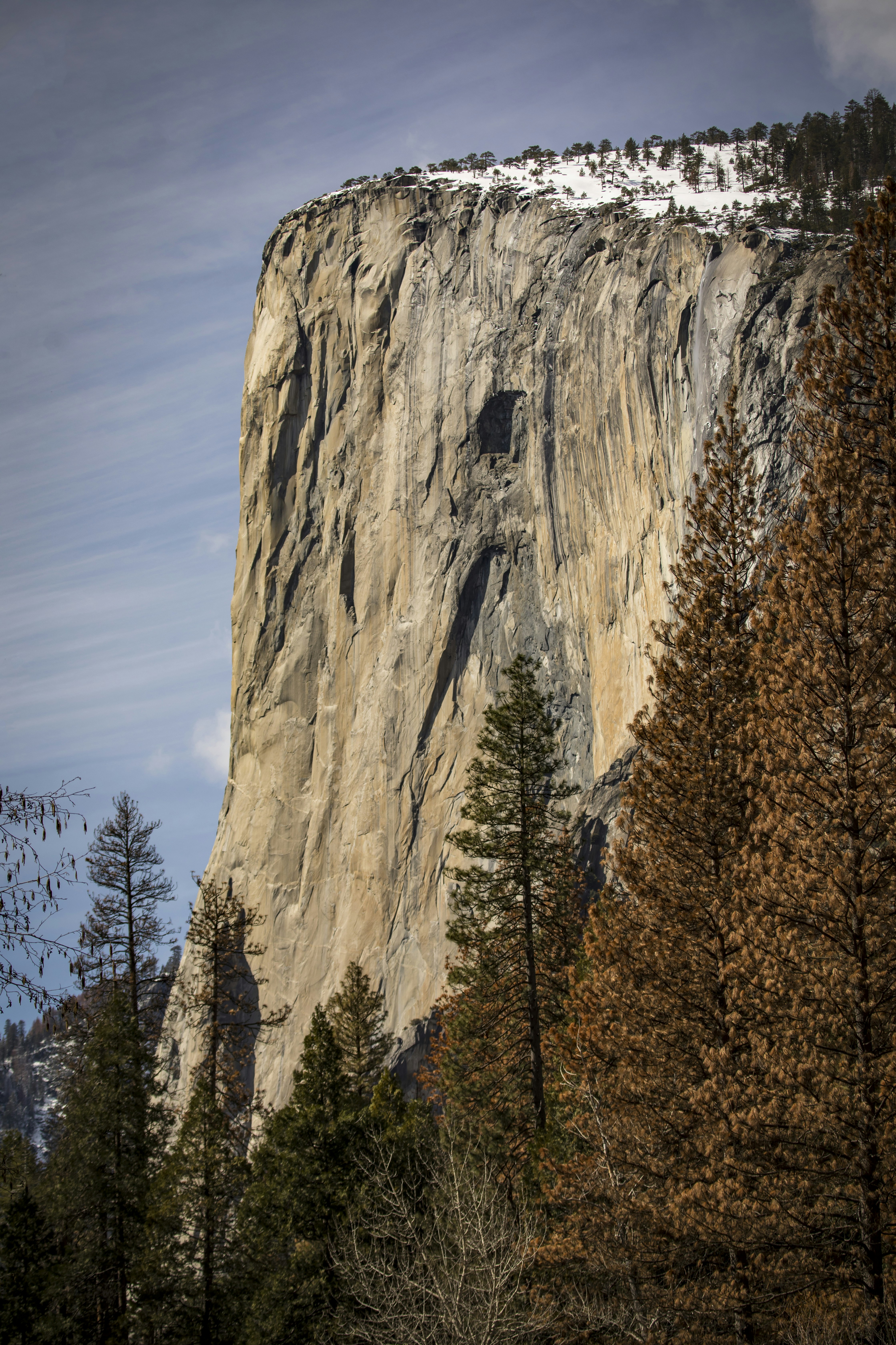 Photo by leo_visions_