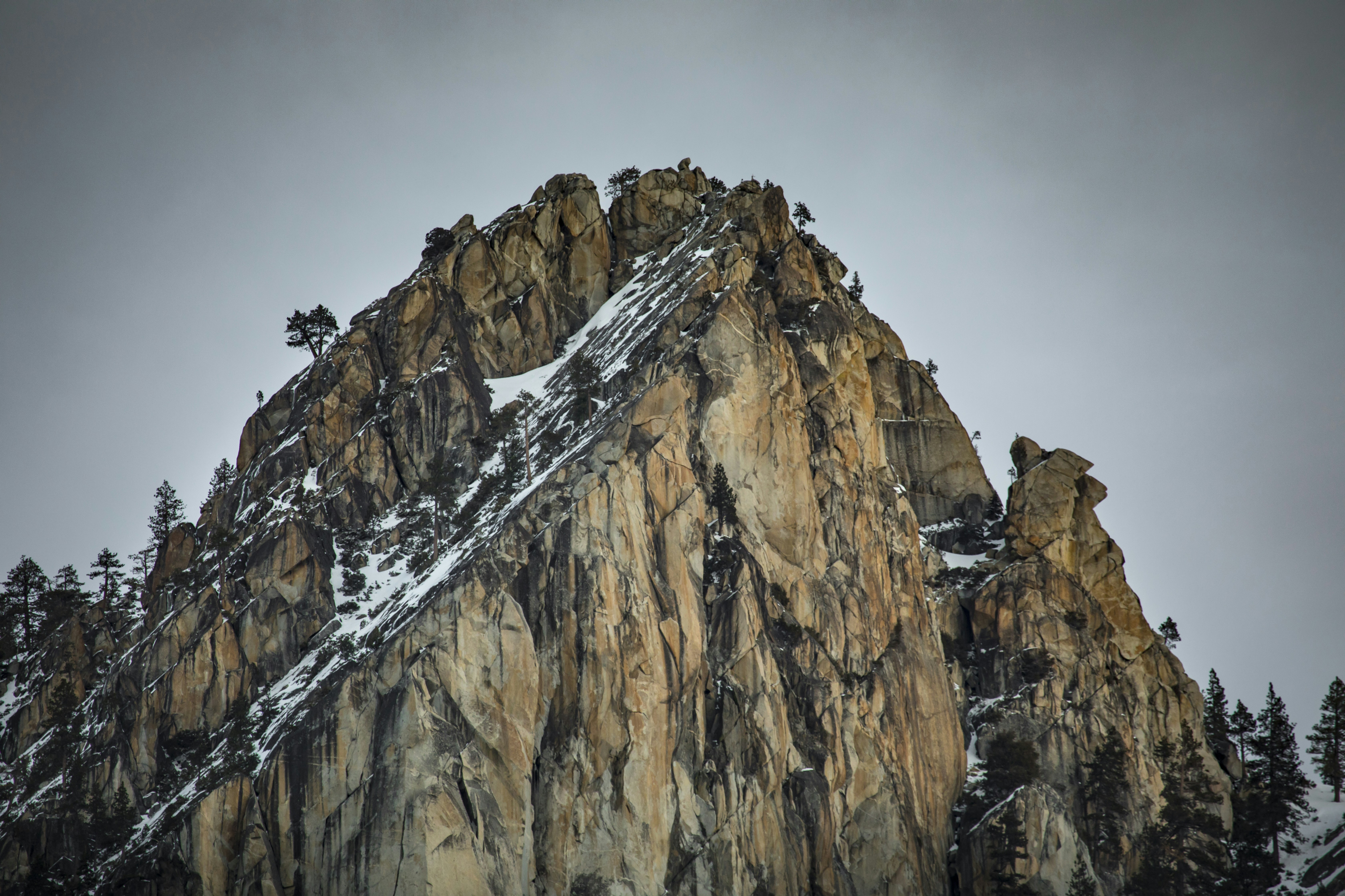 Photo by leo_visions_