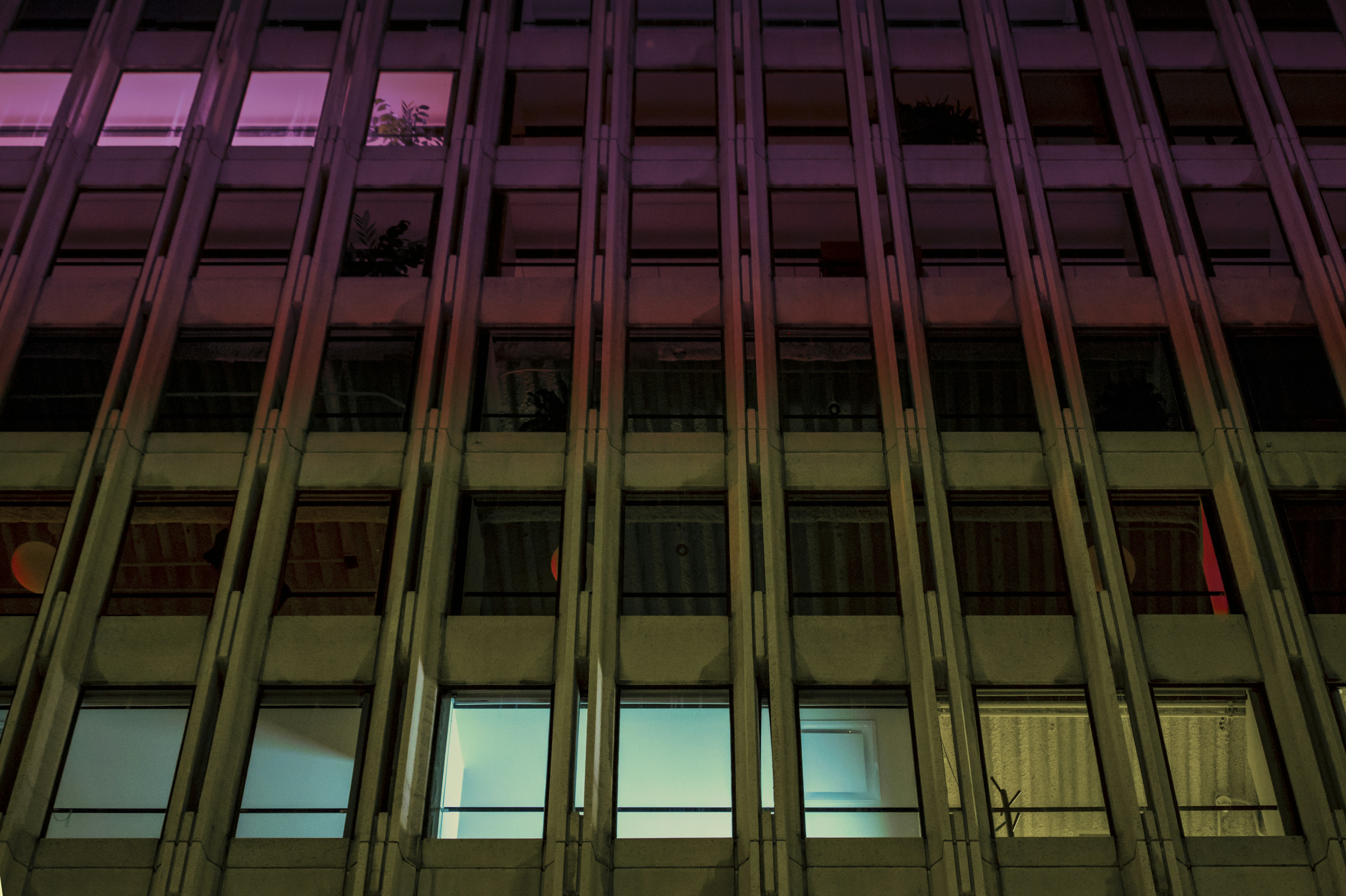 Photo by leo_visions_