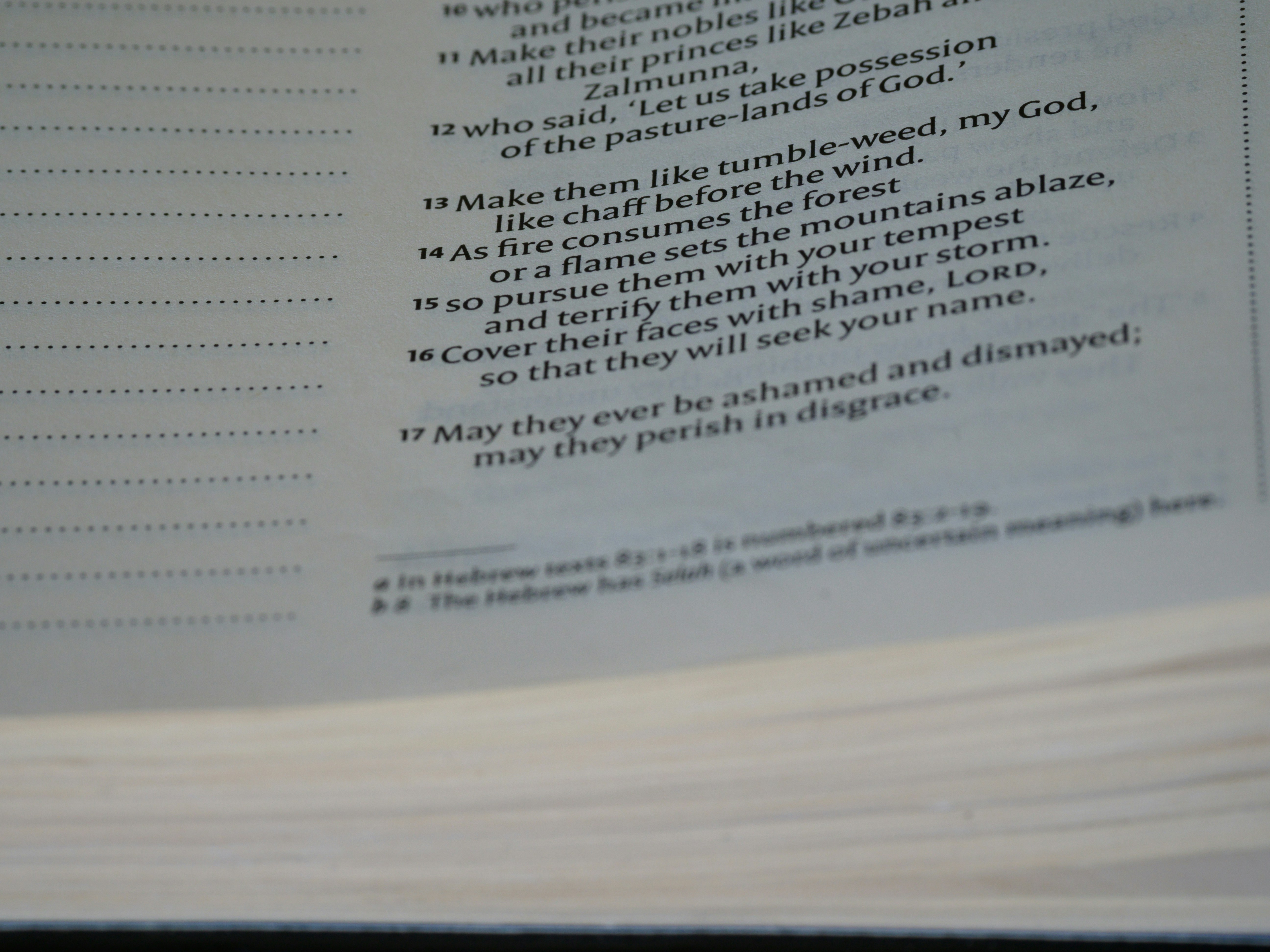 Photo by brett_jordan